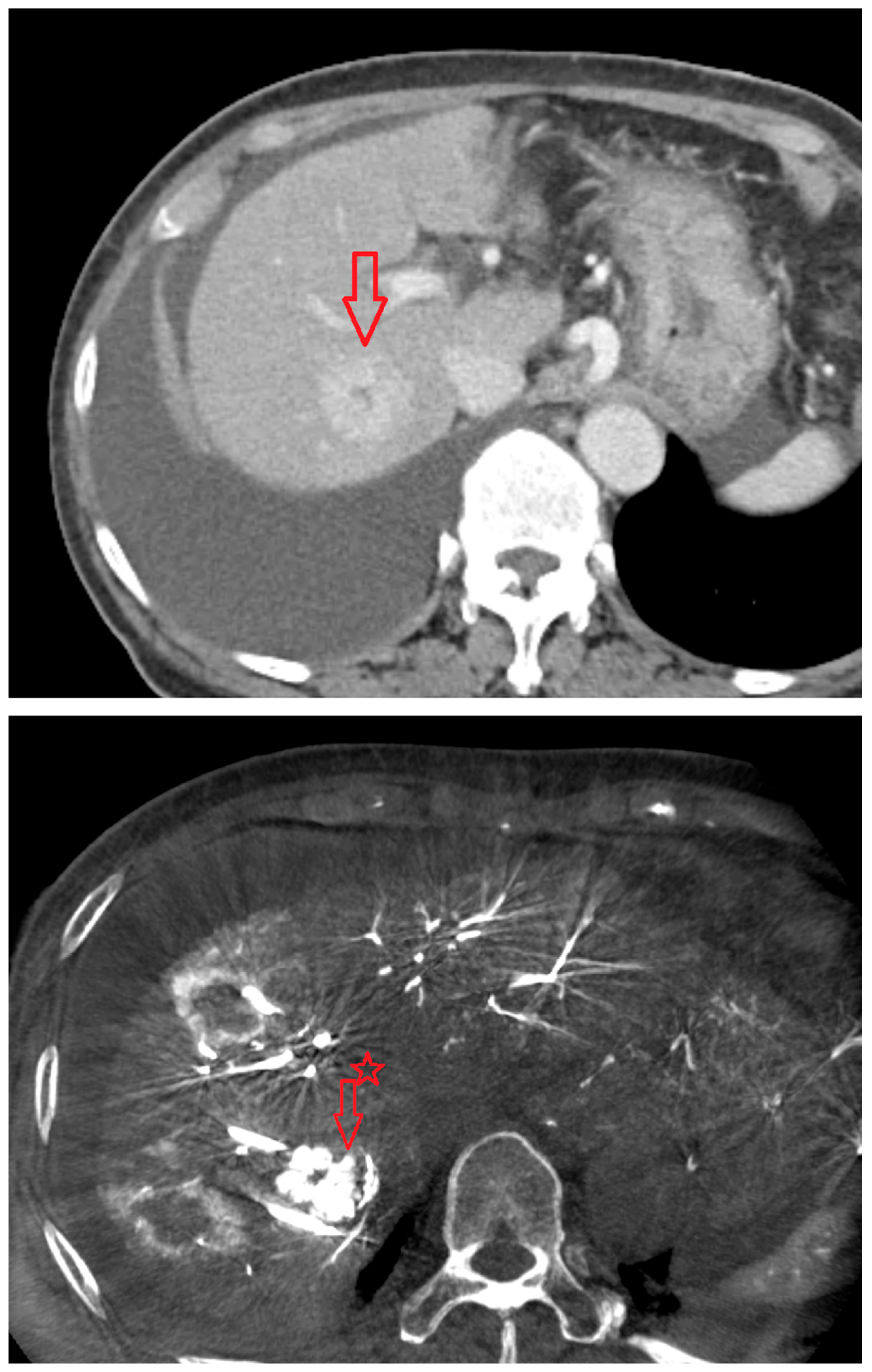 Diagnostics 15 02898 g002