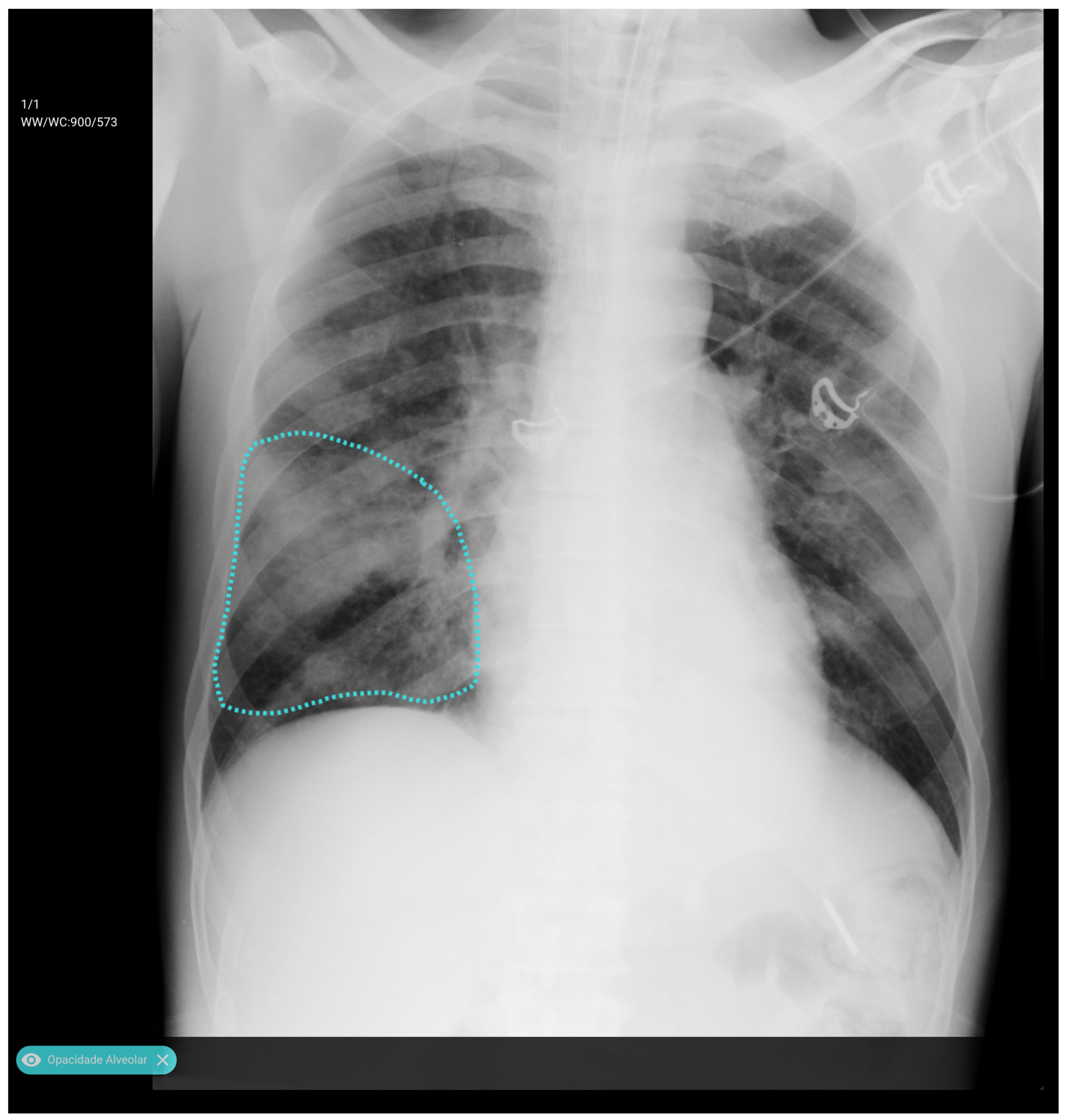 Diagnostics 15 02899 g001