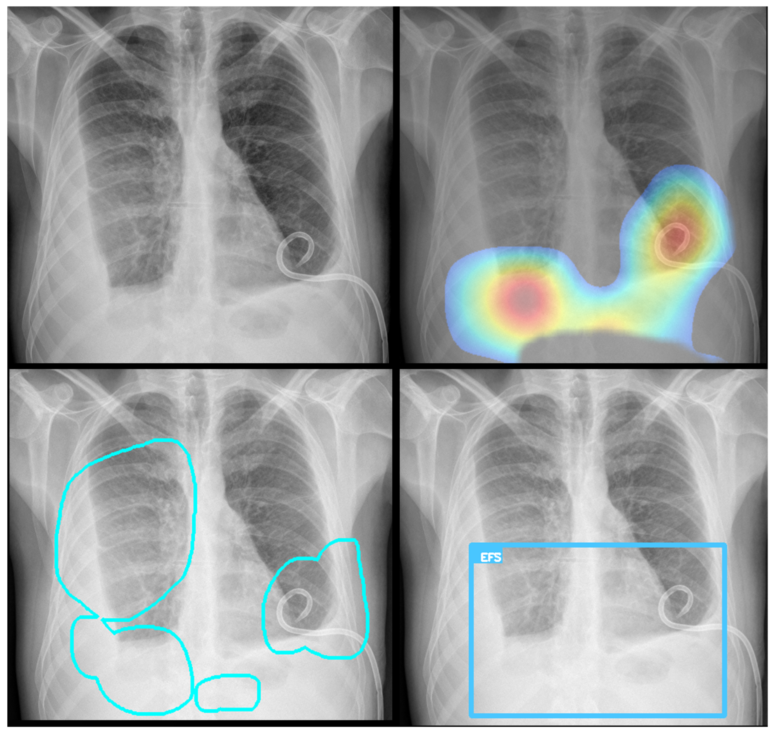 Diagnostics 15 02899 g003