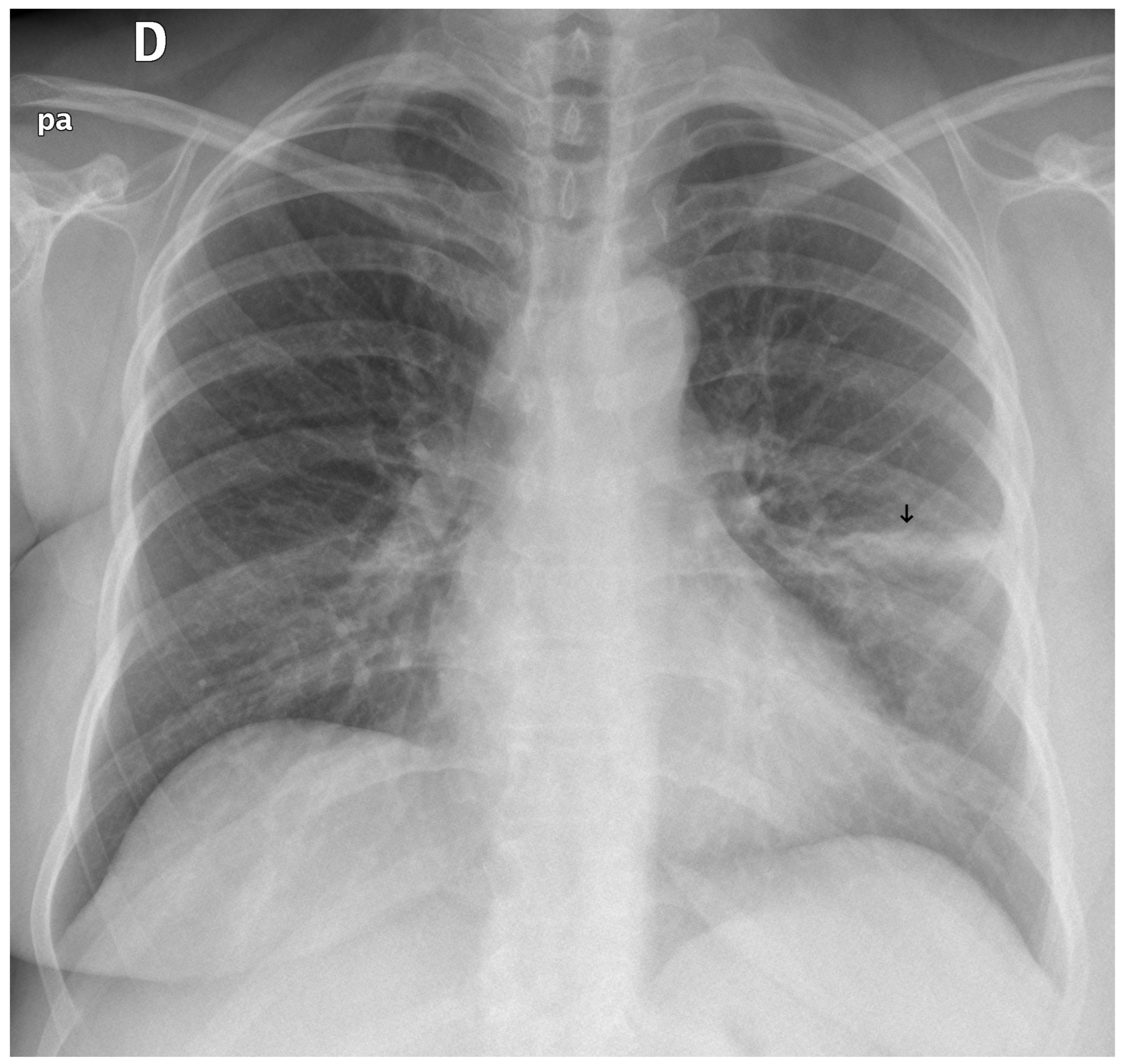 Diagnostics 15 02899 g010