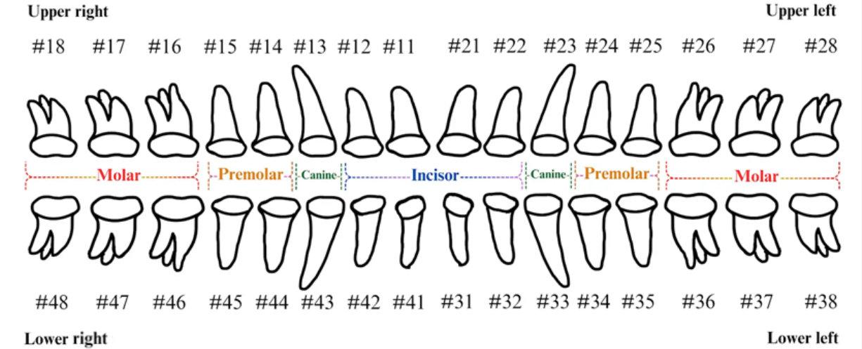 Diagnostics 15 02900 g002 Diagnostics 15 02900 g002