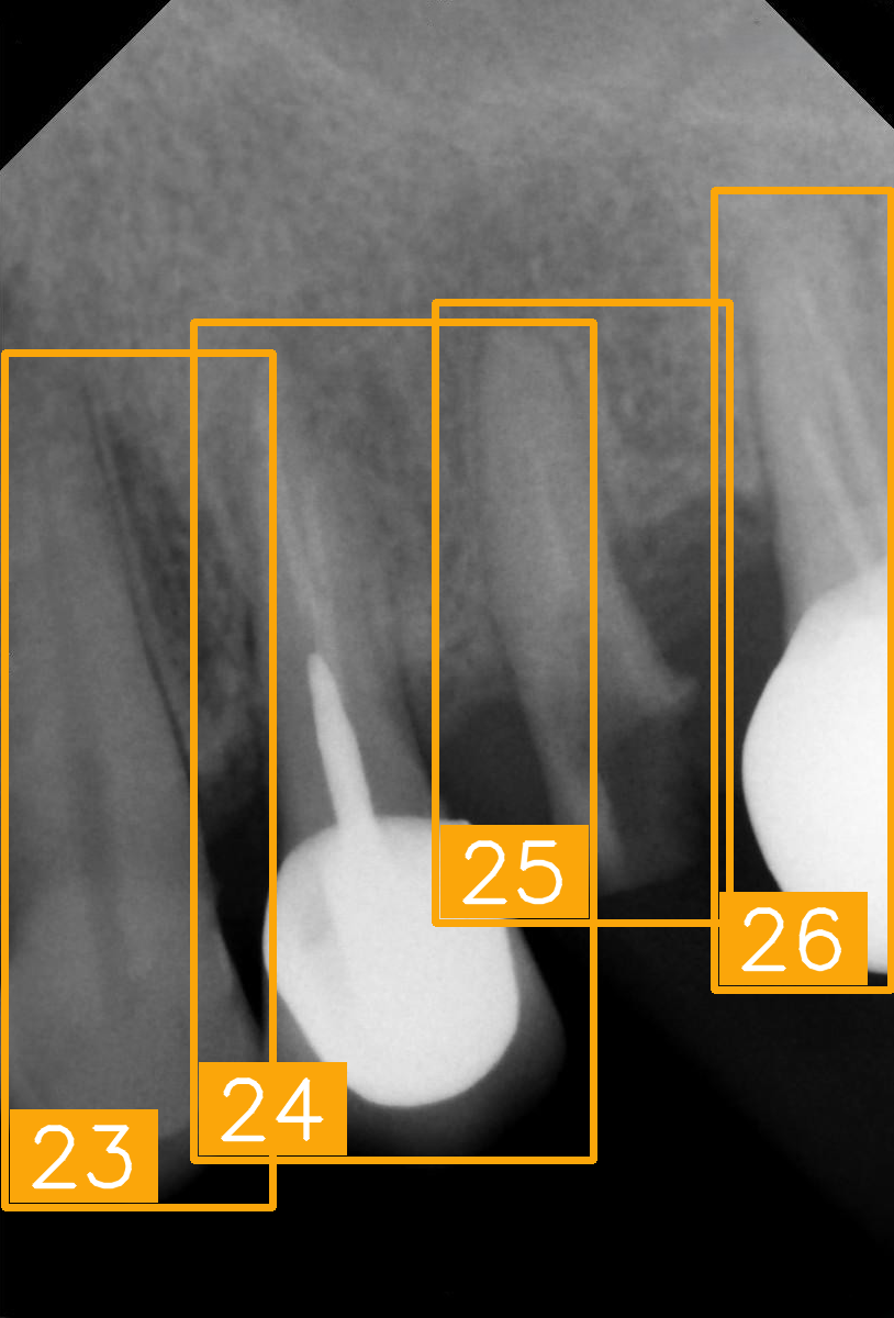 Diagnostics 15 02900 i001 Diagnostics 15 02900 i001