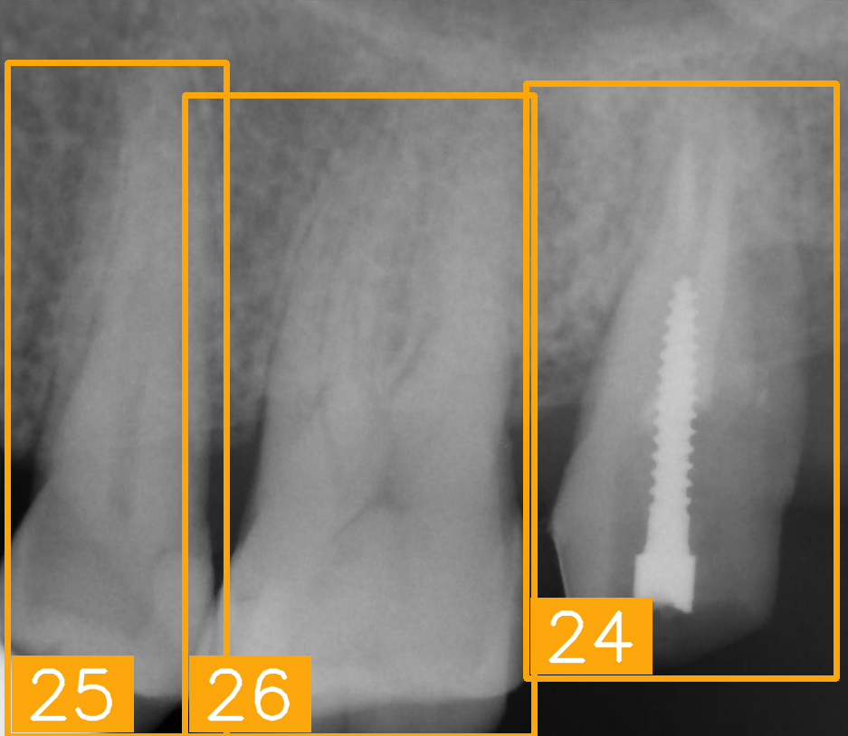 Diagnostics 15 02900 i008 Diagnostics 15 02900 i008