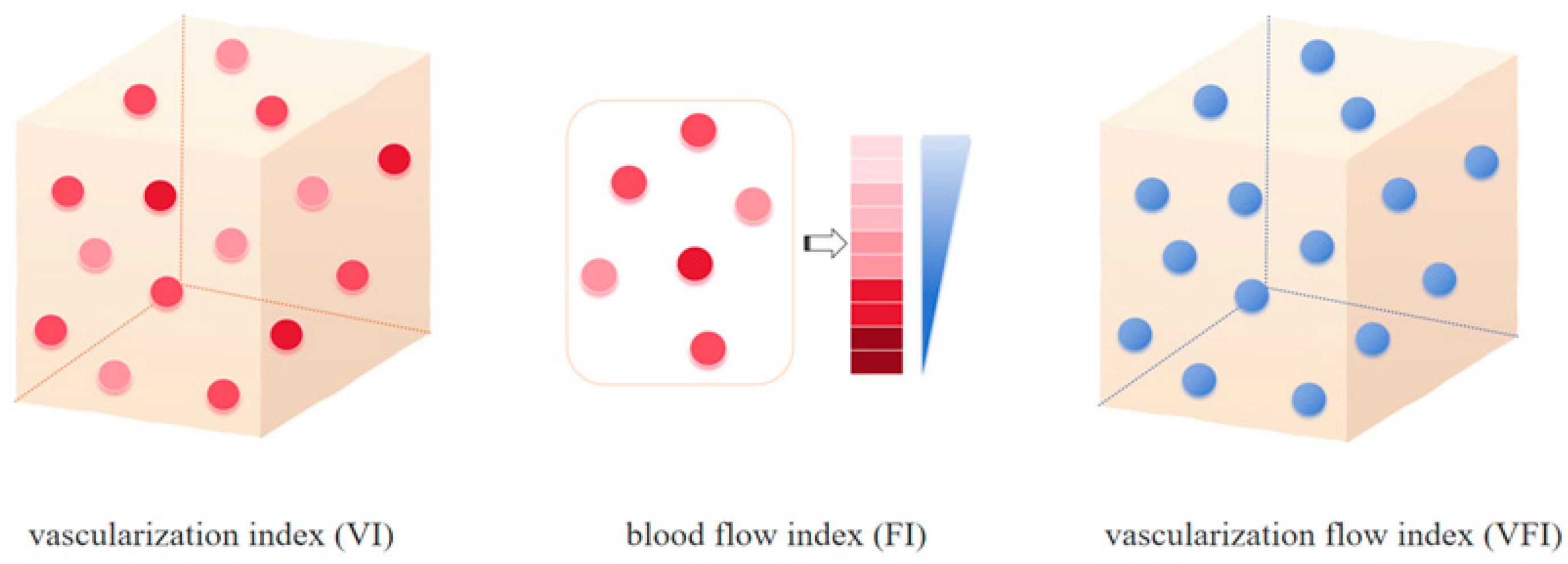 Diagnostics 15 02903 g002