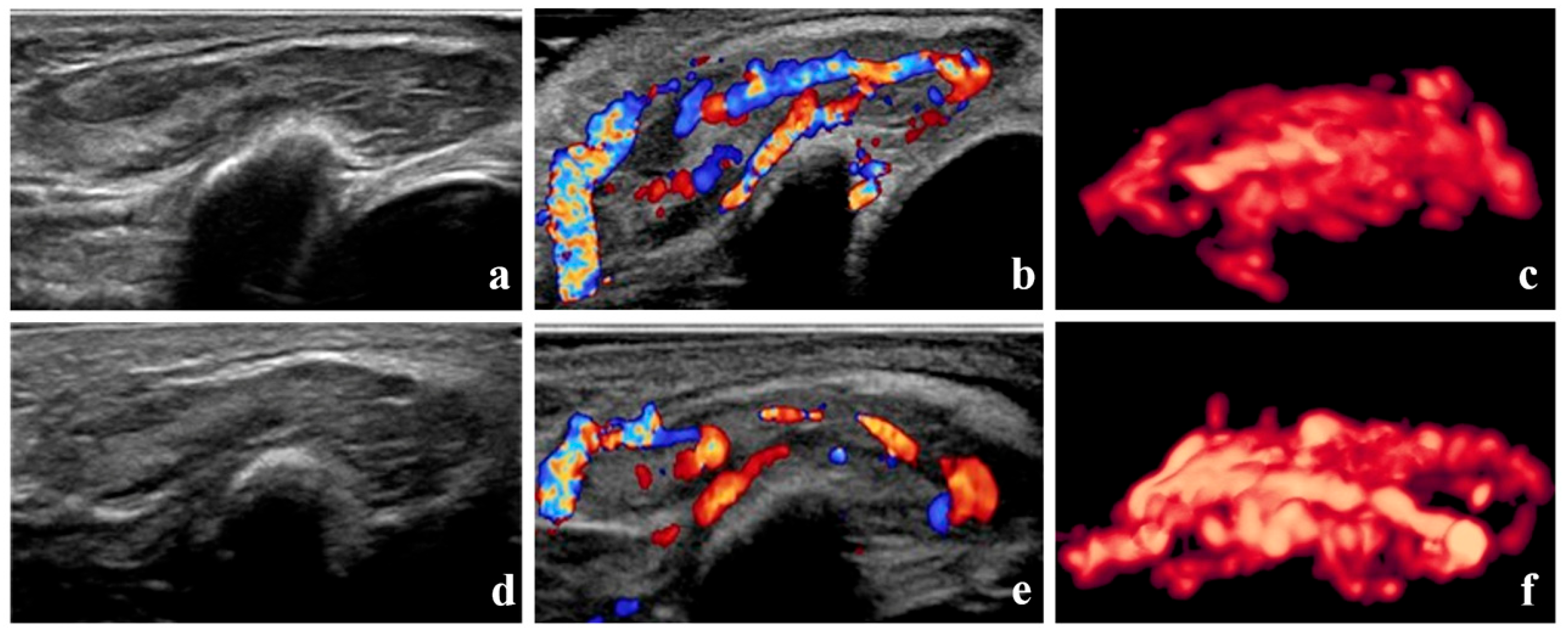 Diagnostics 15 02903 g003