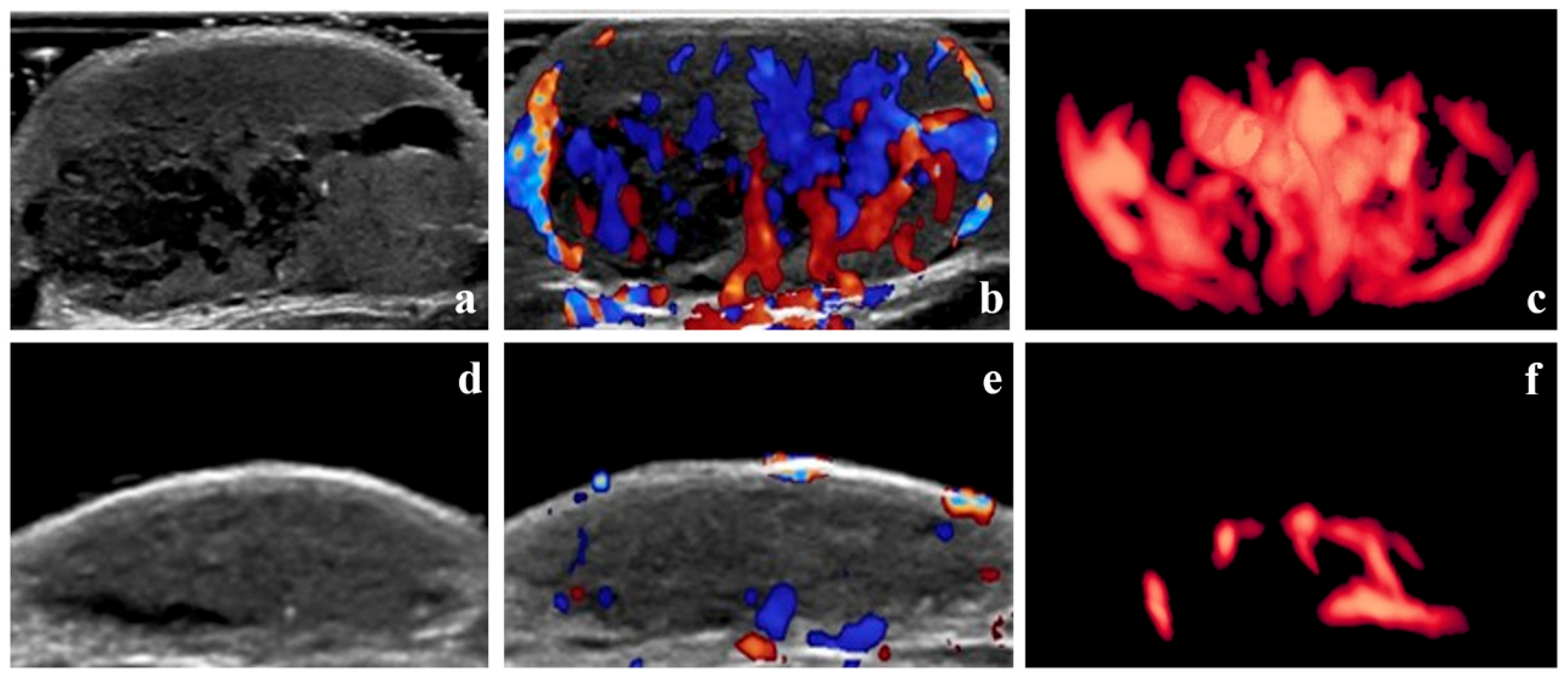 Diagnostics 15 02903 g004