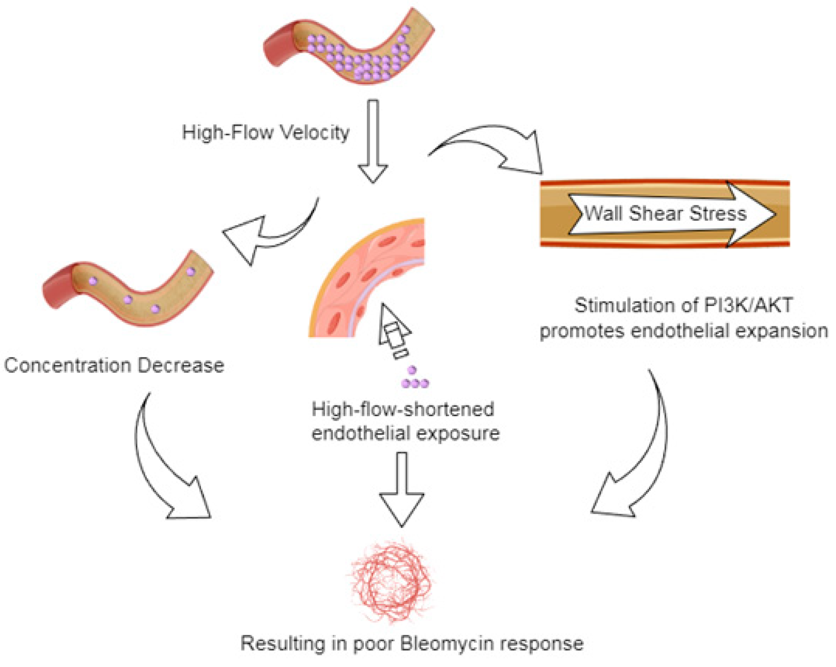 Diagnostics 15 02903 g006