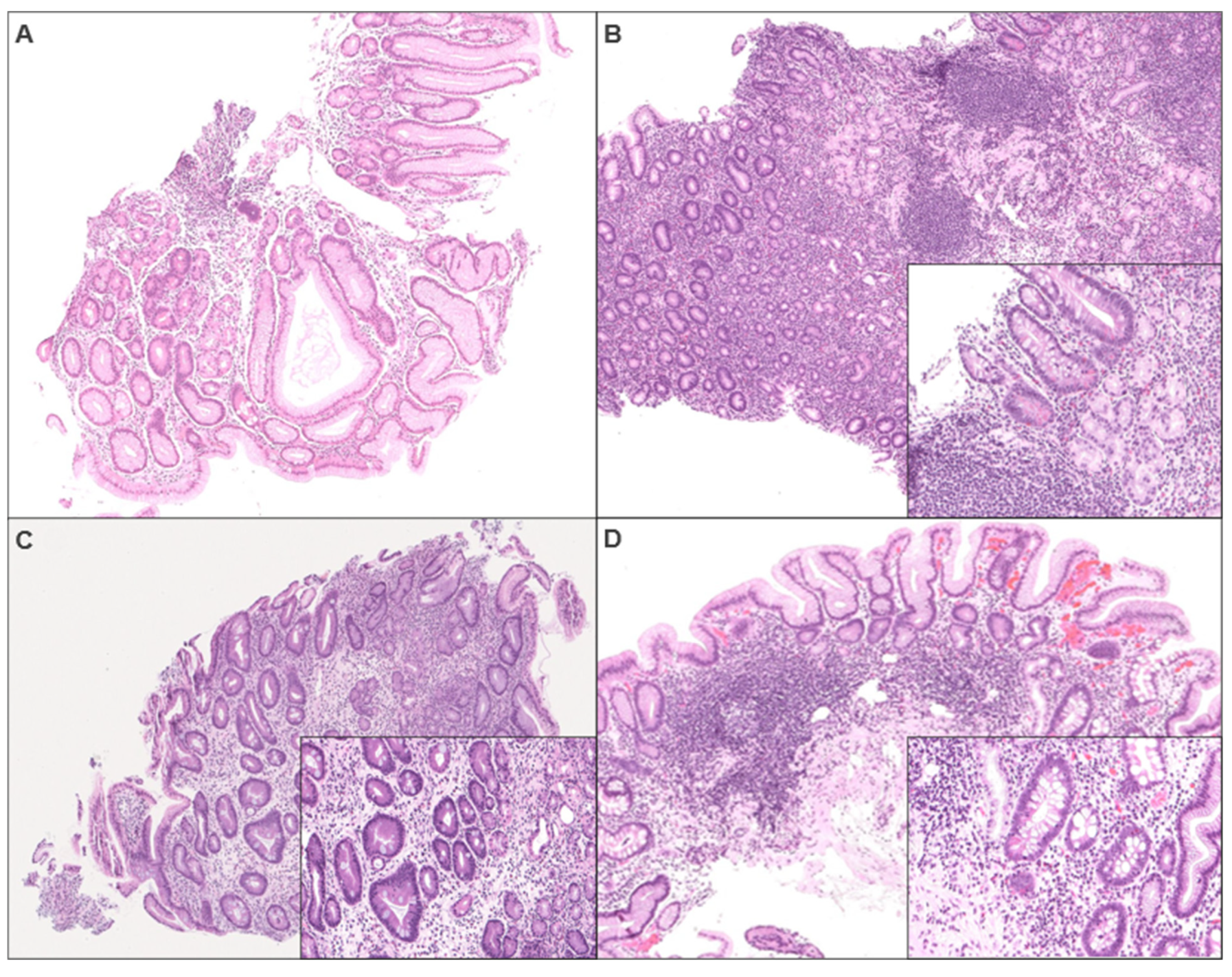 Diagnostics 15 02906 g001 Diagnostics 15 02906 g001