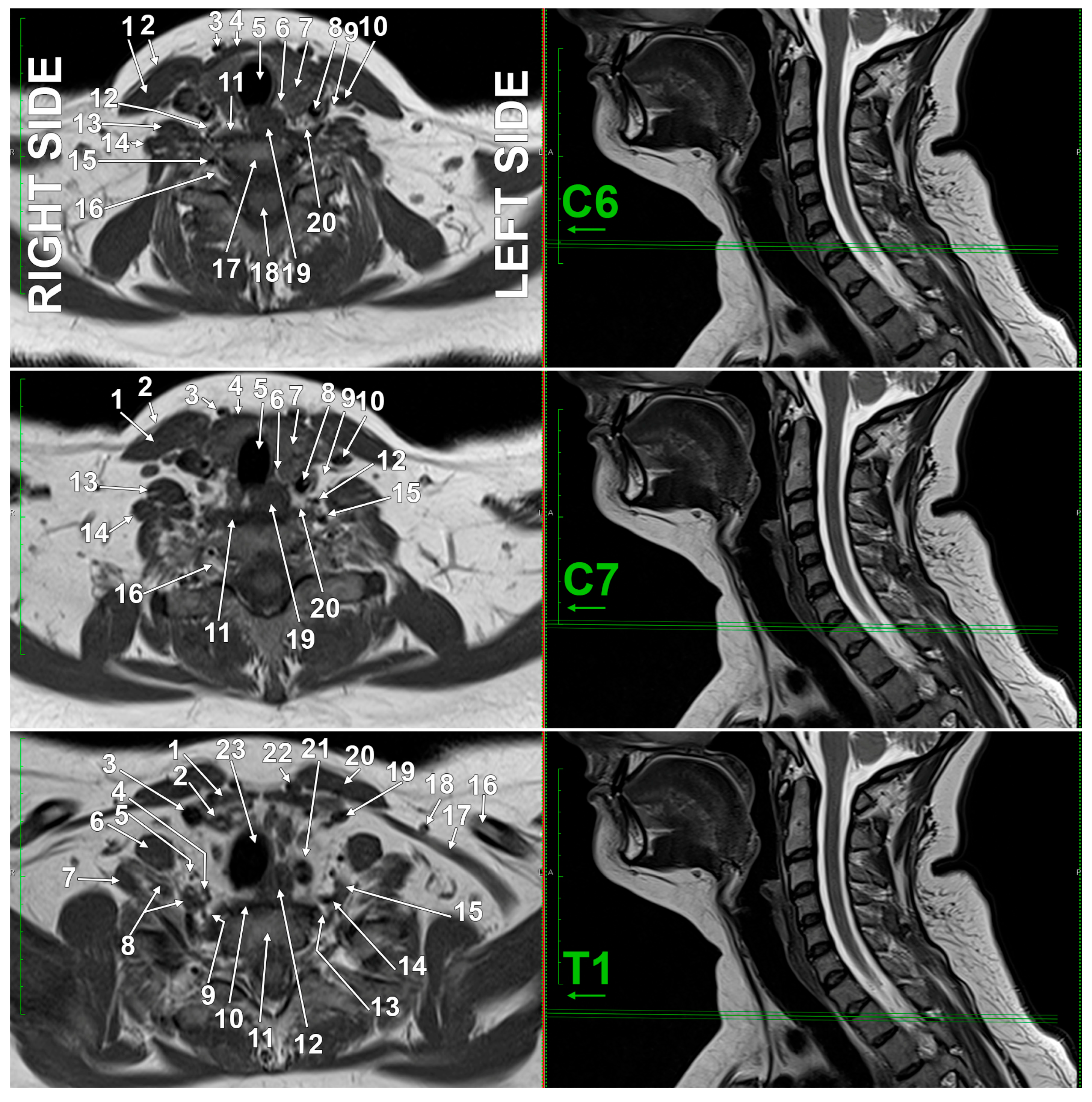 Diagnostics 15 02911 g008