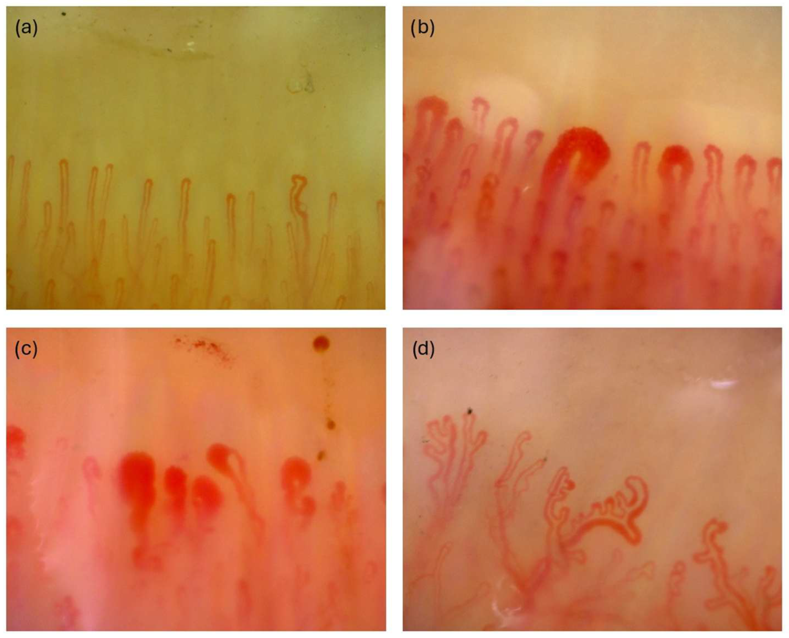 Diagnostics 15 02912 g001 Diagnostics 15 02912 g001