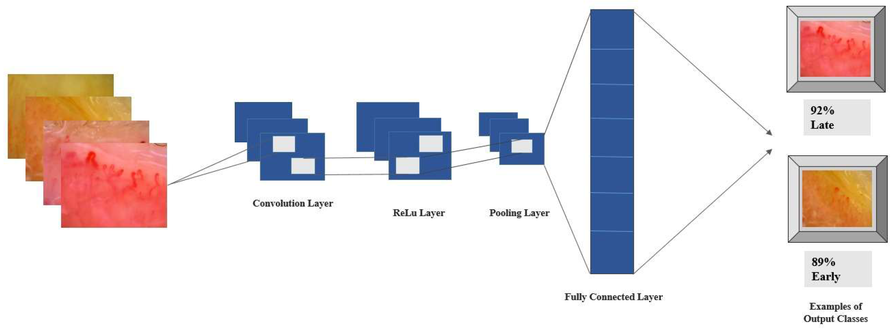 Diagnostics 15 02912 g002 Diagnostics 15 02912 g002