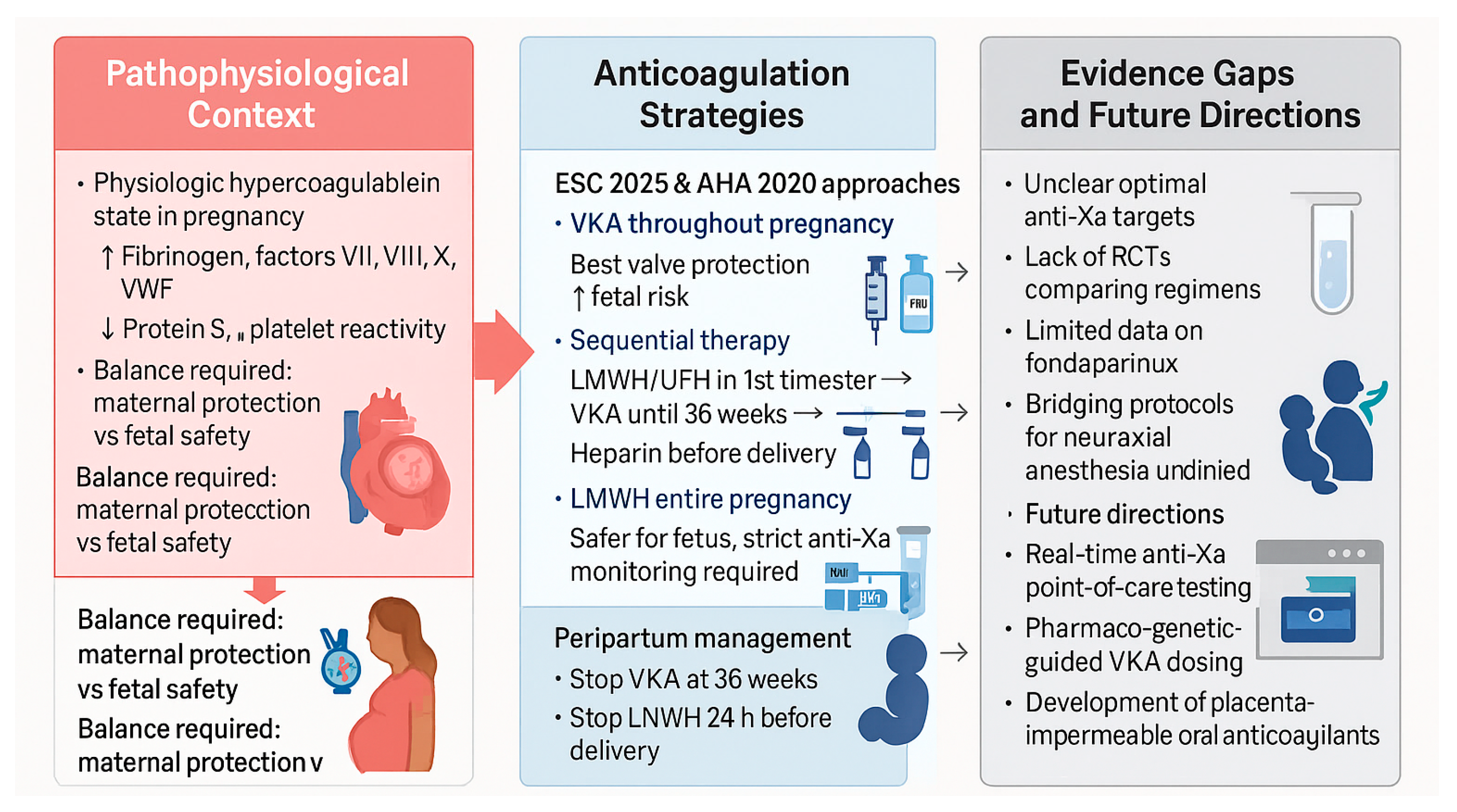 Diagnostics 15 02921 g002