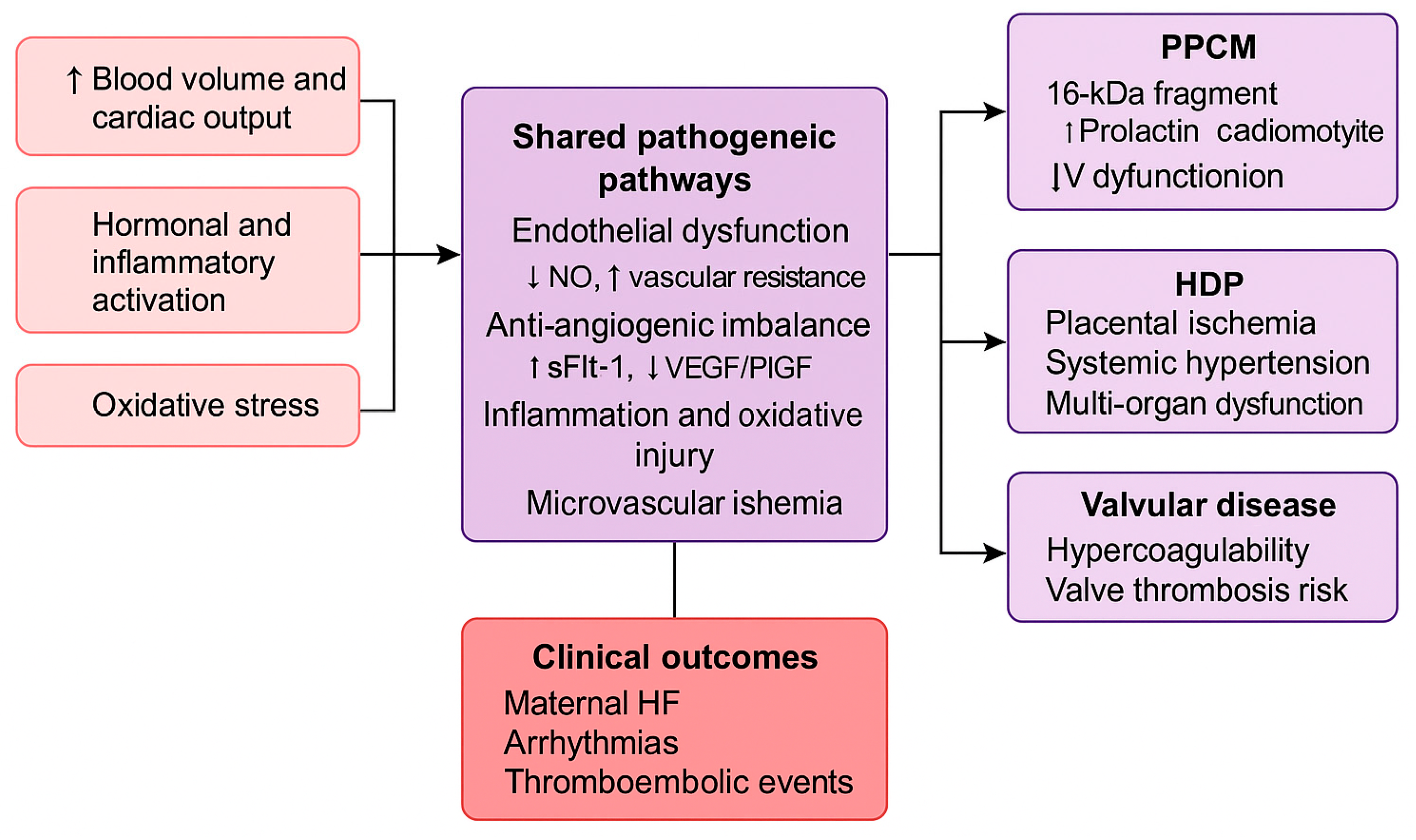 Diagnostics 15 02921 g004
