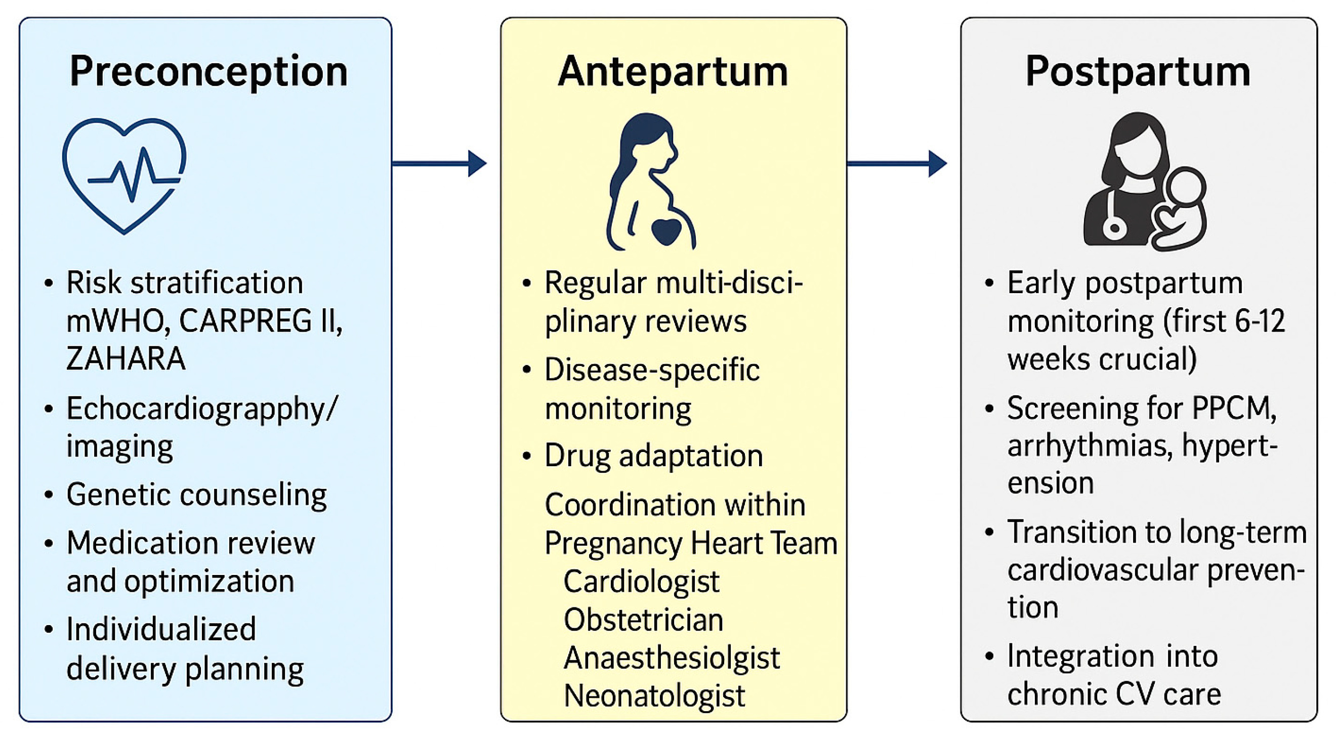 Diagnostics 15 02921 g005