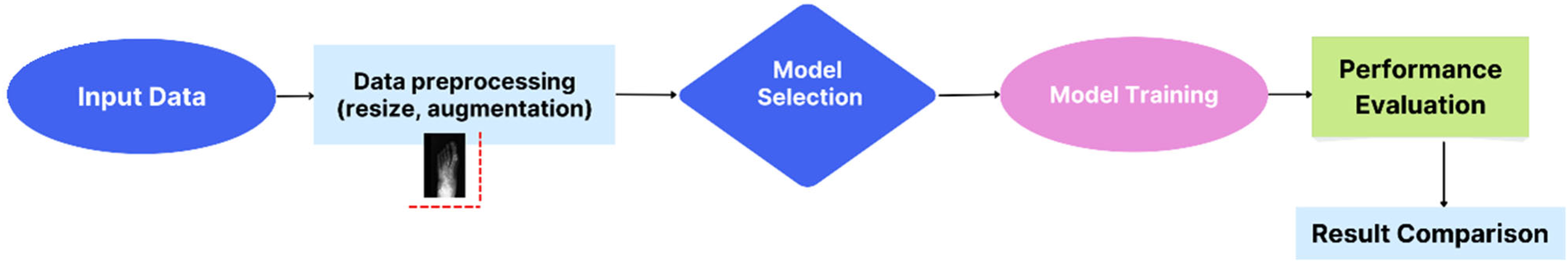 Diagnostics 15 02923 g001