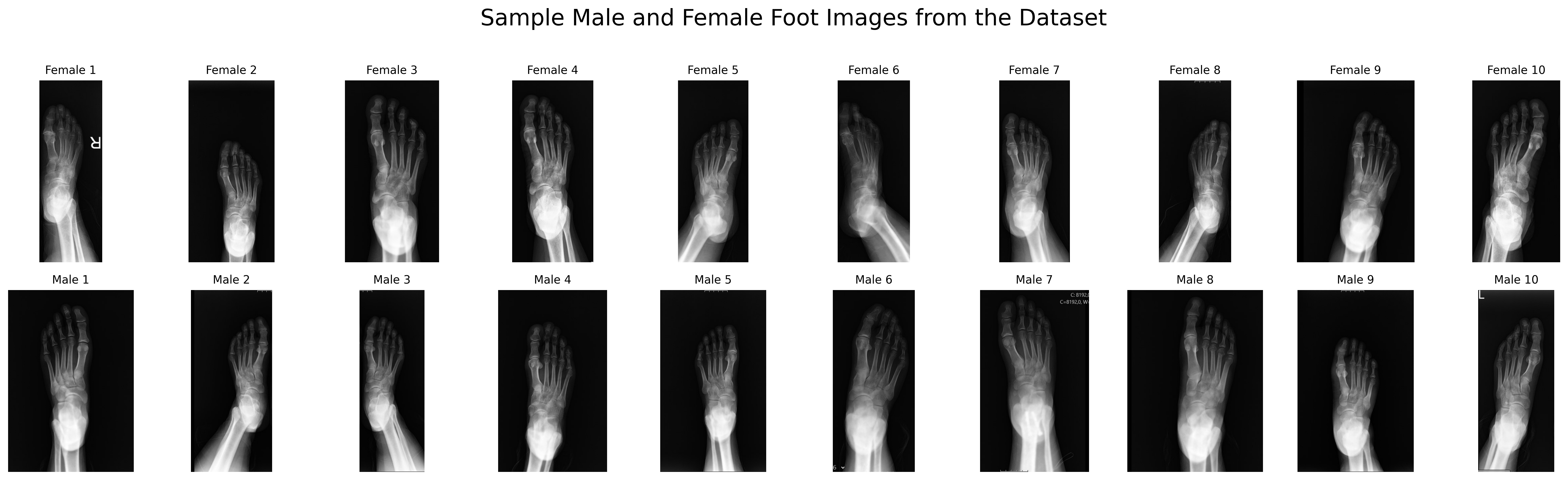 Diagnostics 15 02923 g002