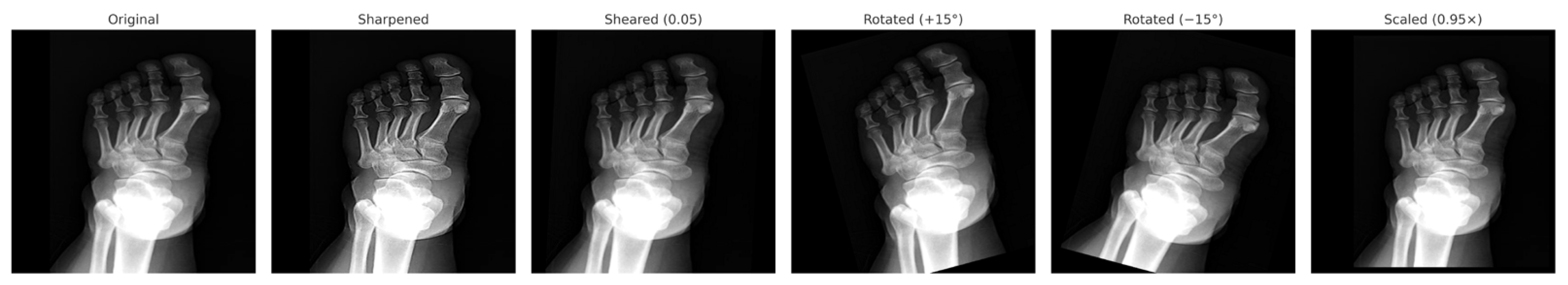 Diagnostics 15 02923 g003