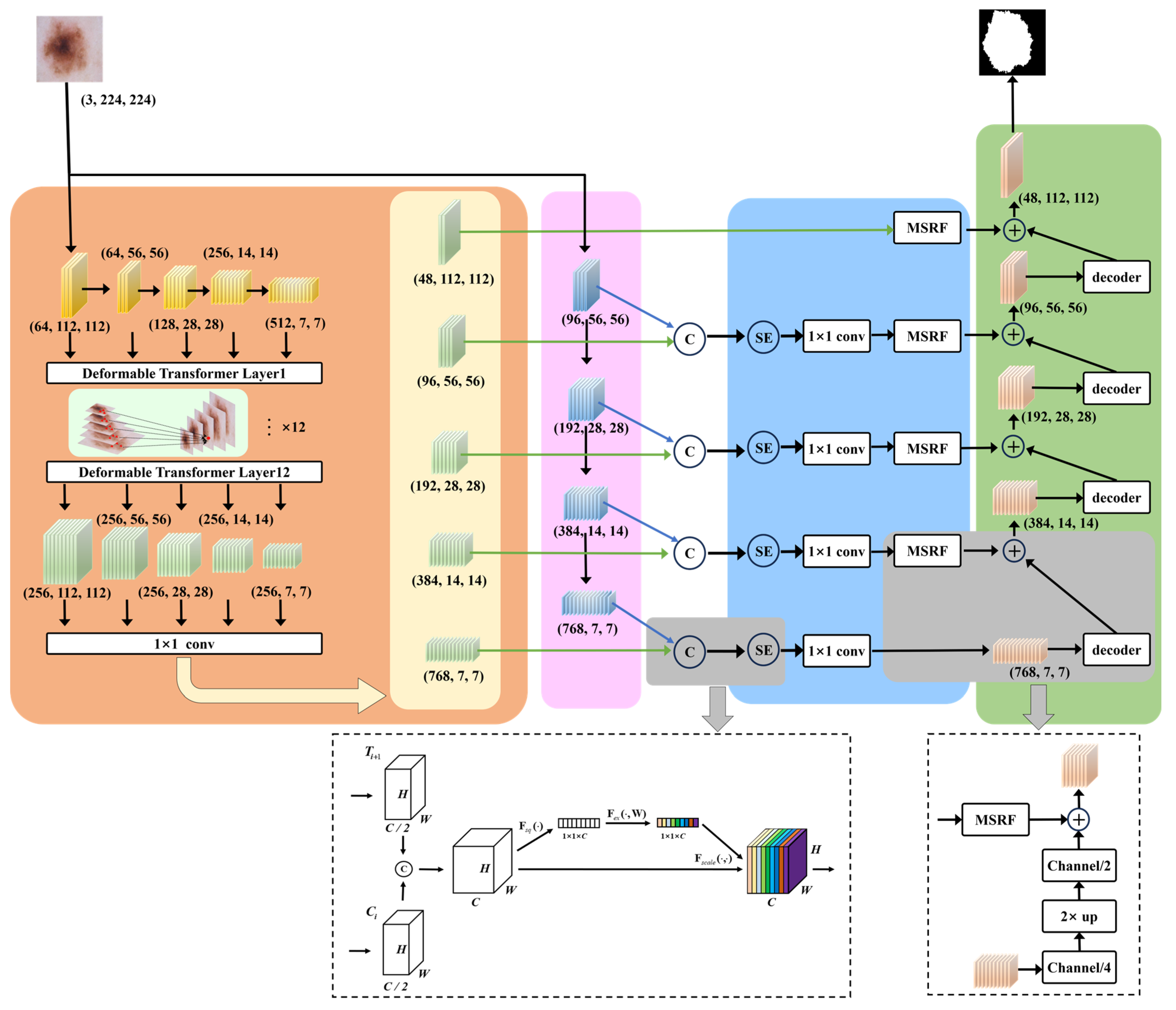 Diagnostics 15 02924 g001