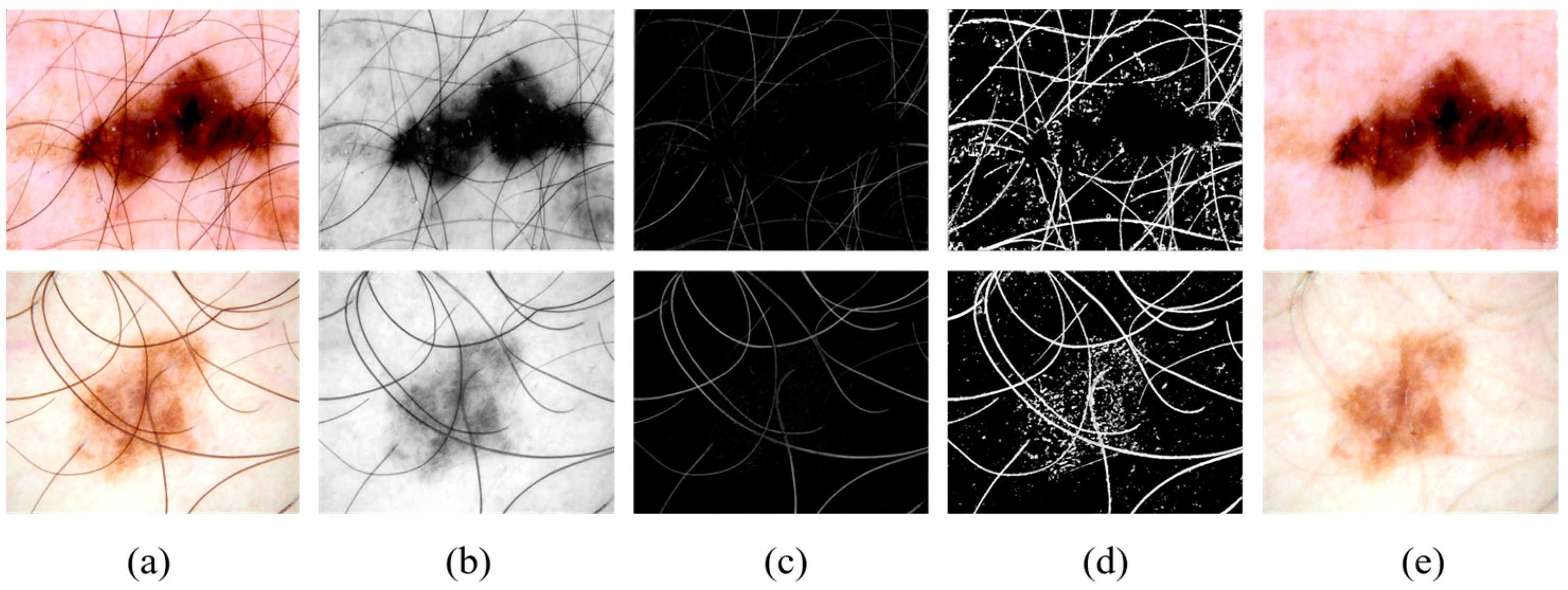 Diagnostics 15 02924 g002