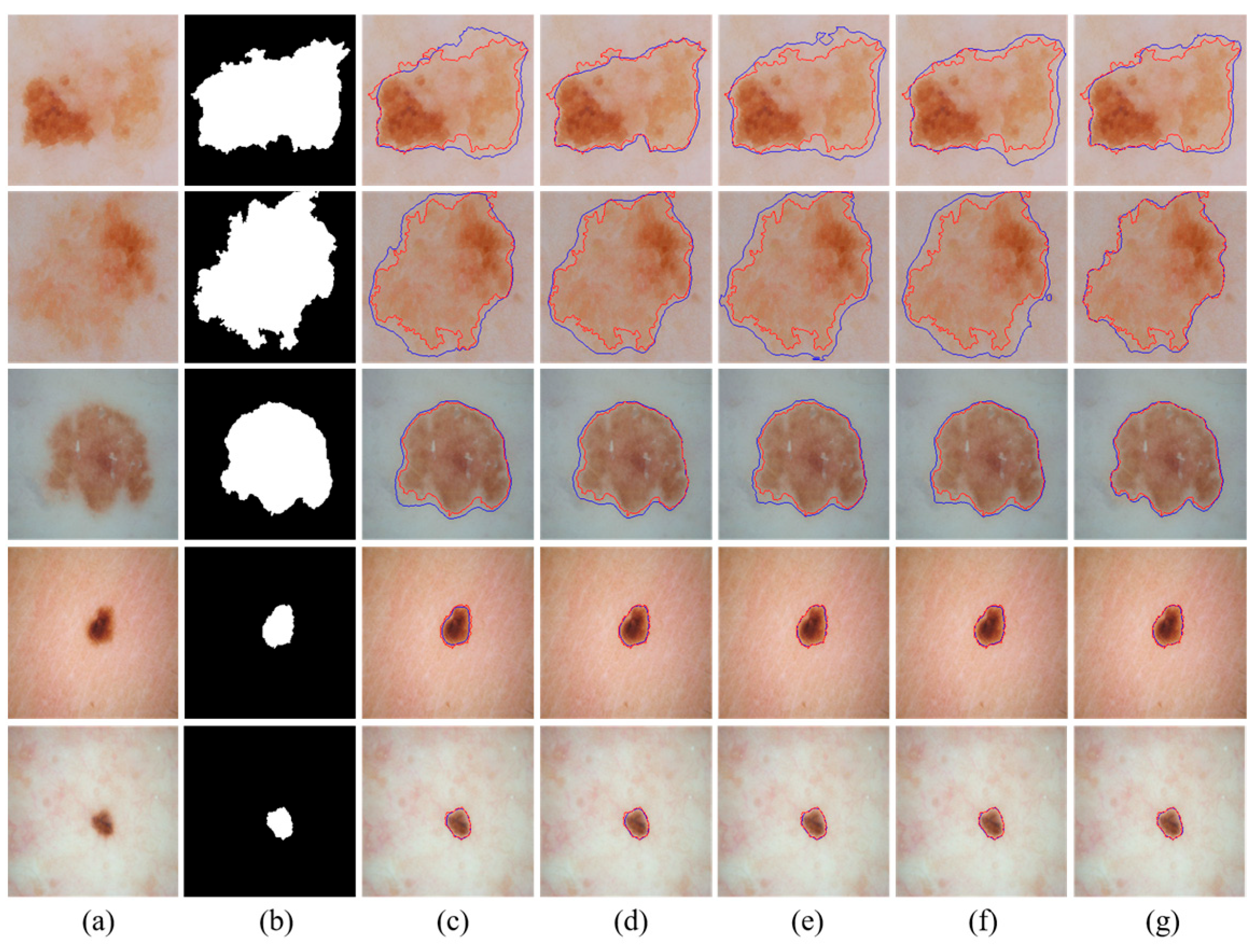 Diagnostics 15 02924 g004