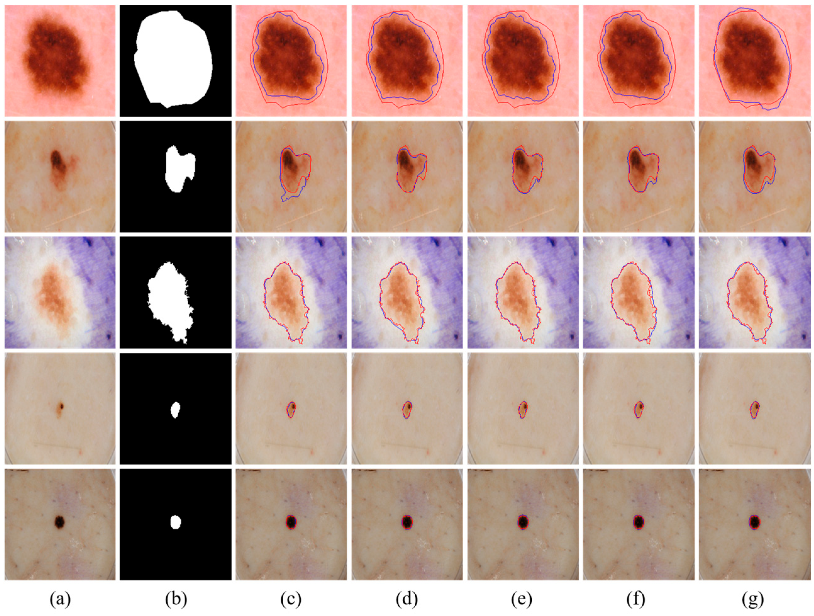 Diagnostics 15 02924 g005