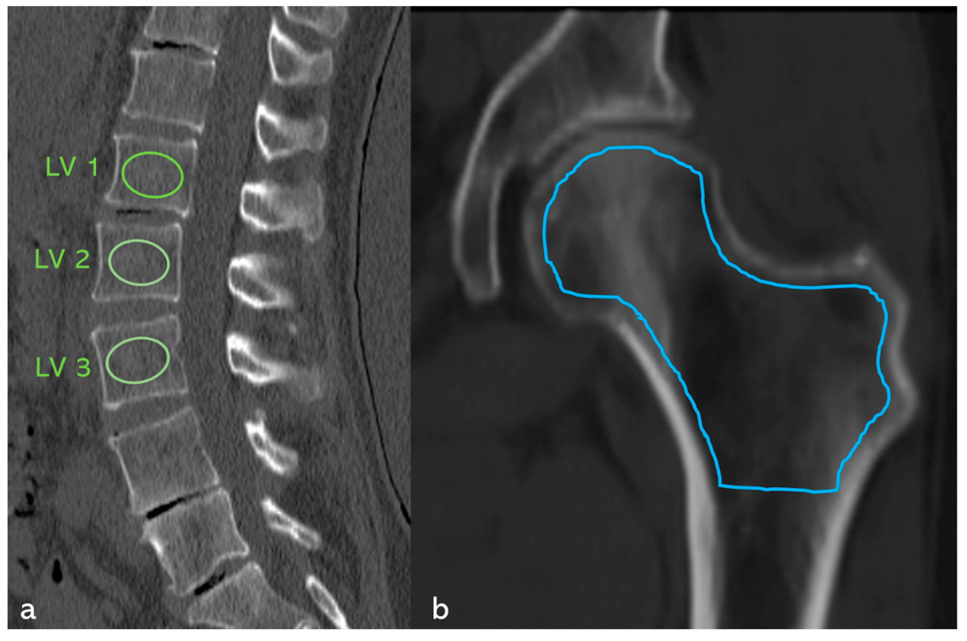 Diagnostics 15 02926 g001