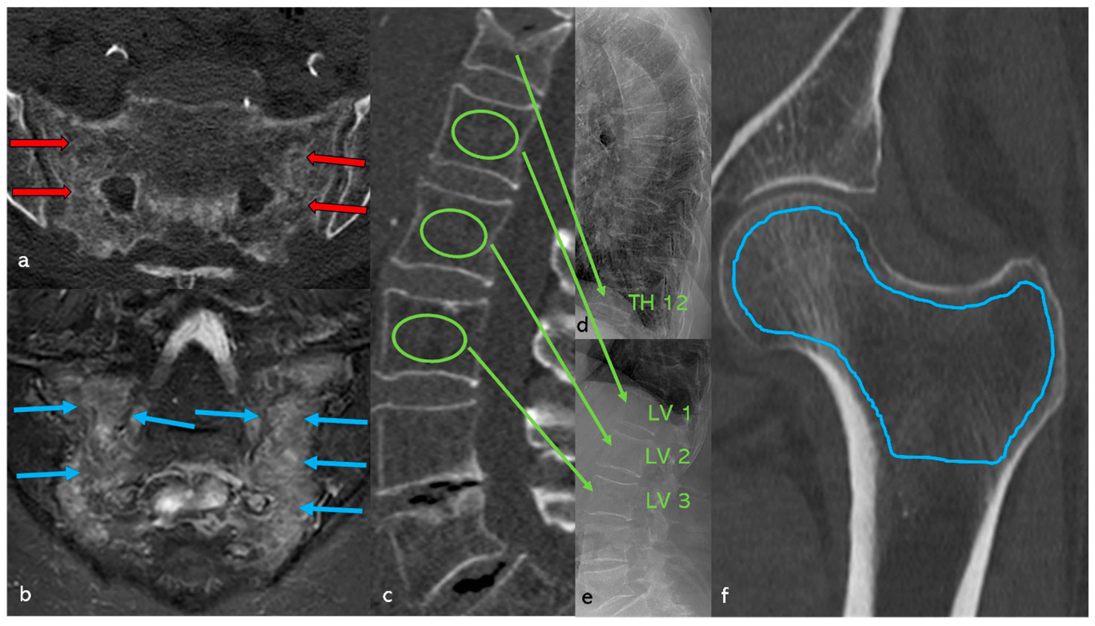 Diagnostics 15 02926 g011