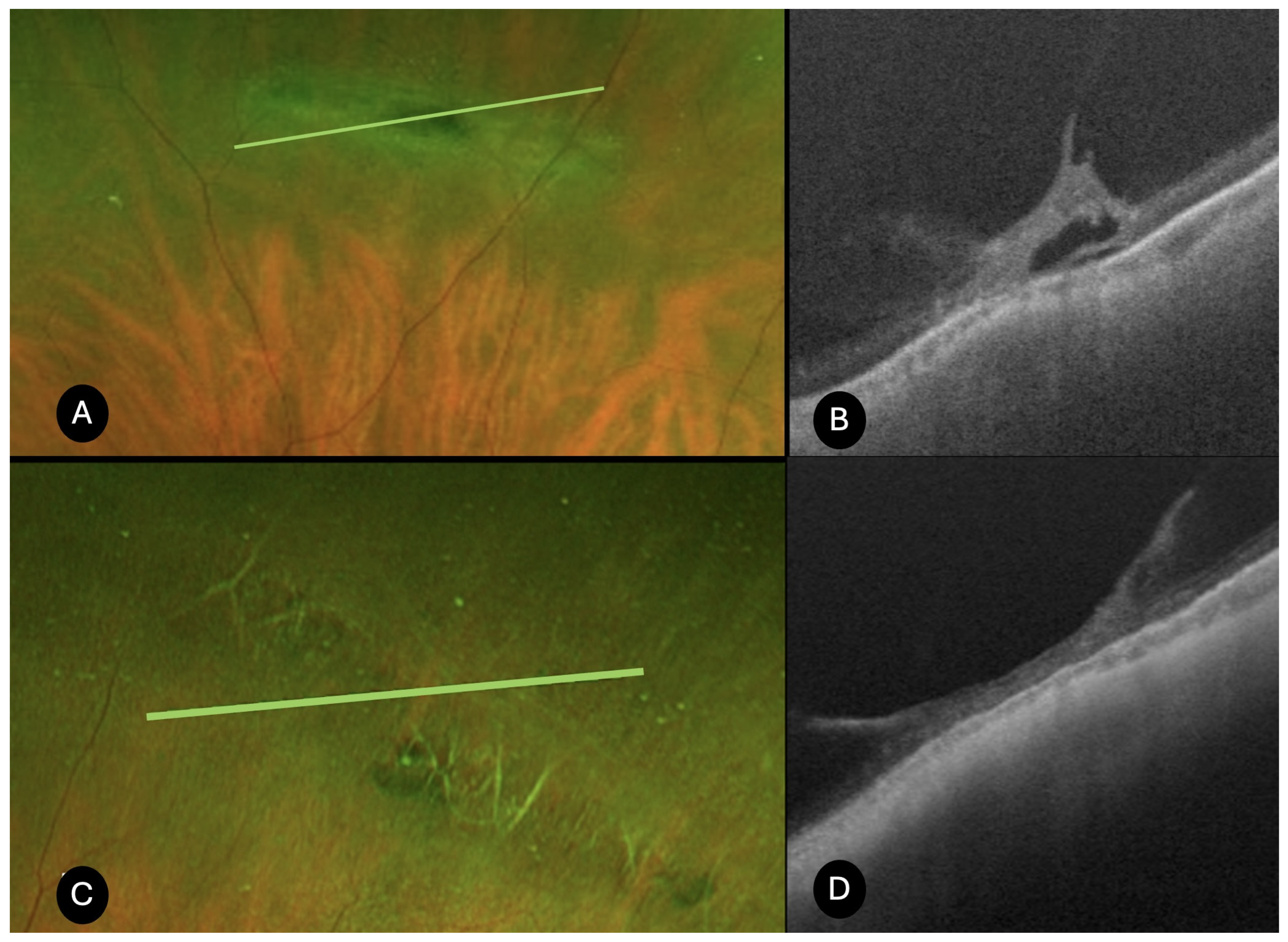 Diagnostics 15 02930 g001