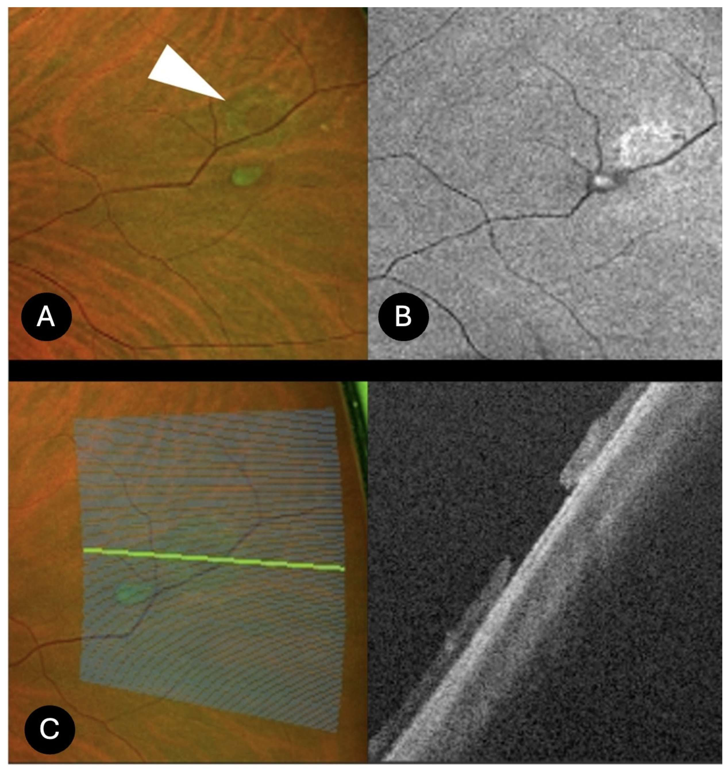 Diagnostics 15 02930 g003