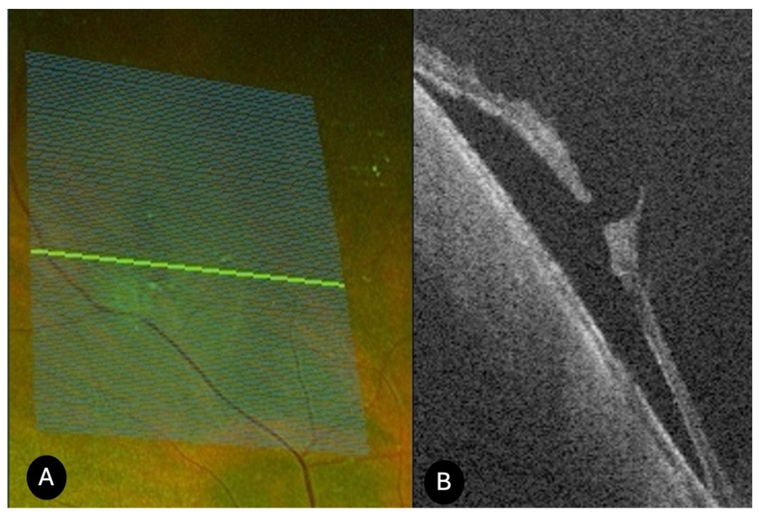 Diagnostics 15 02930 g004