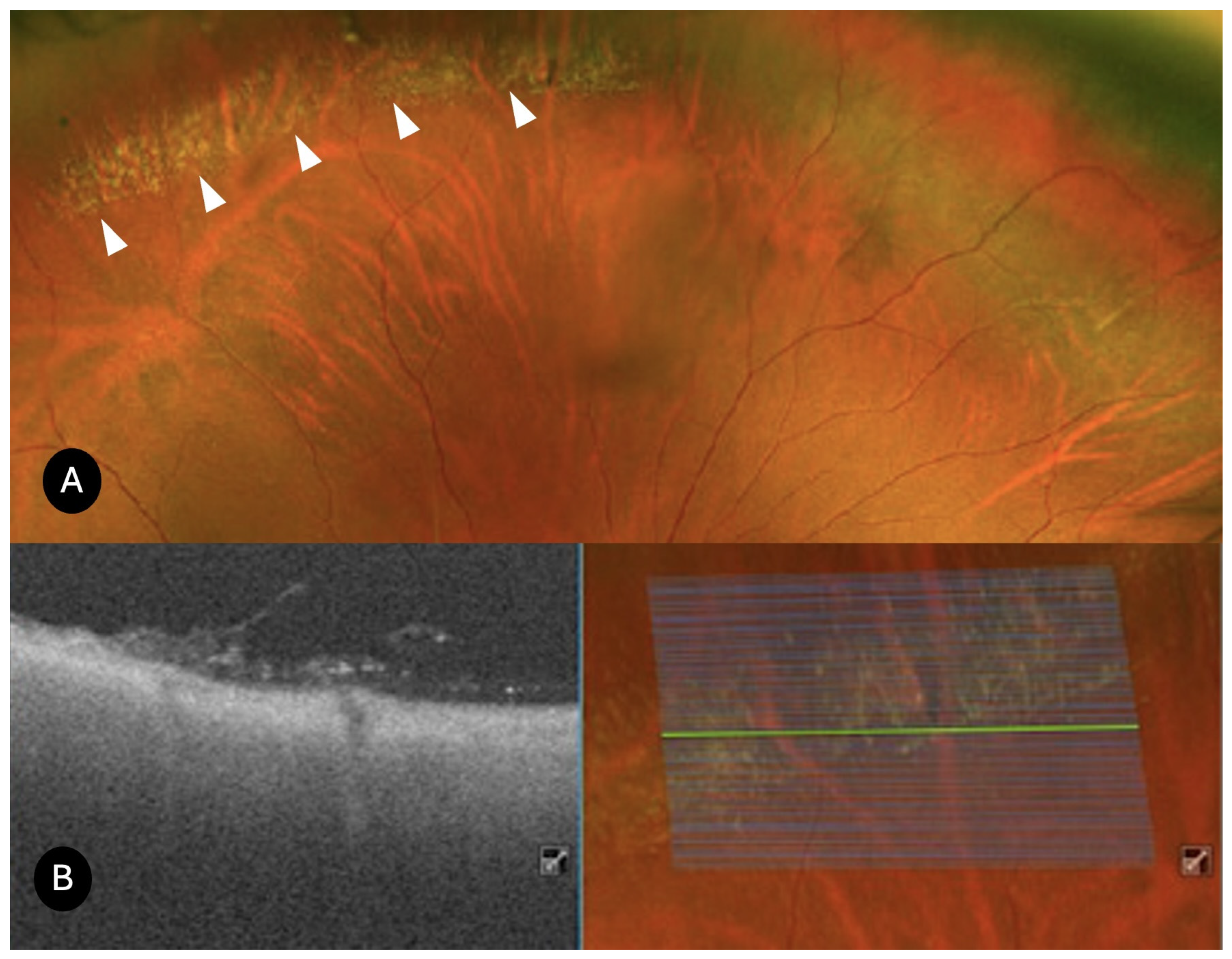 Diagnostics 15 02930 g005