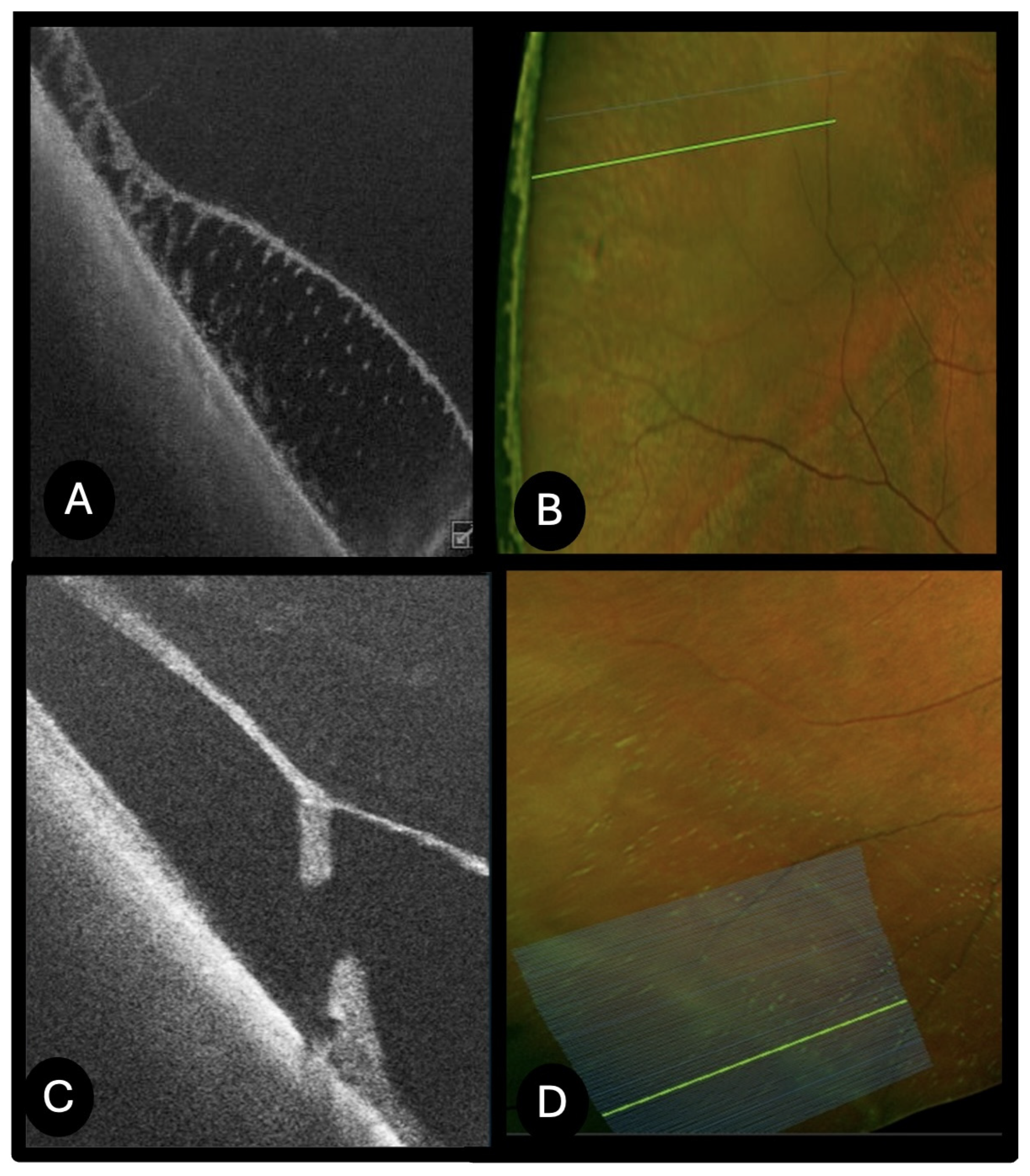 Diagnostics 15 02930 g007