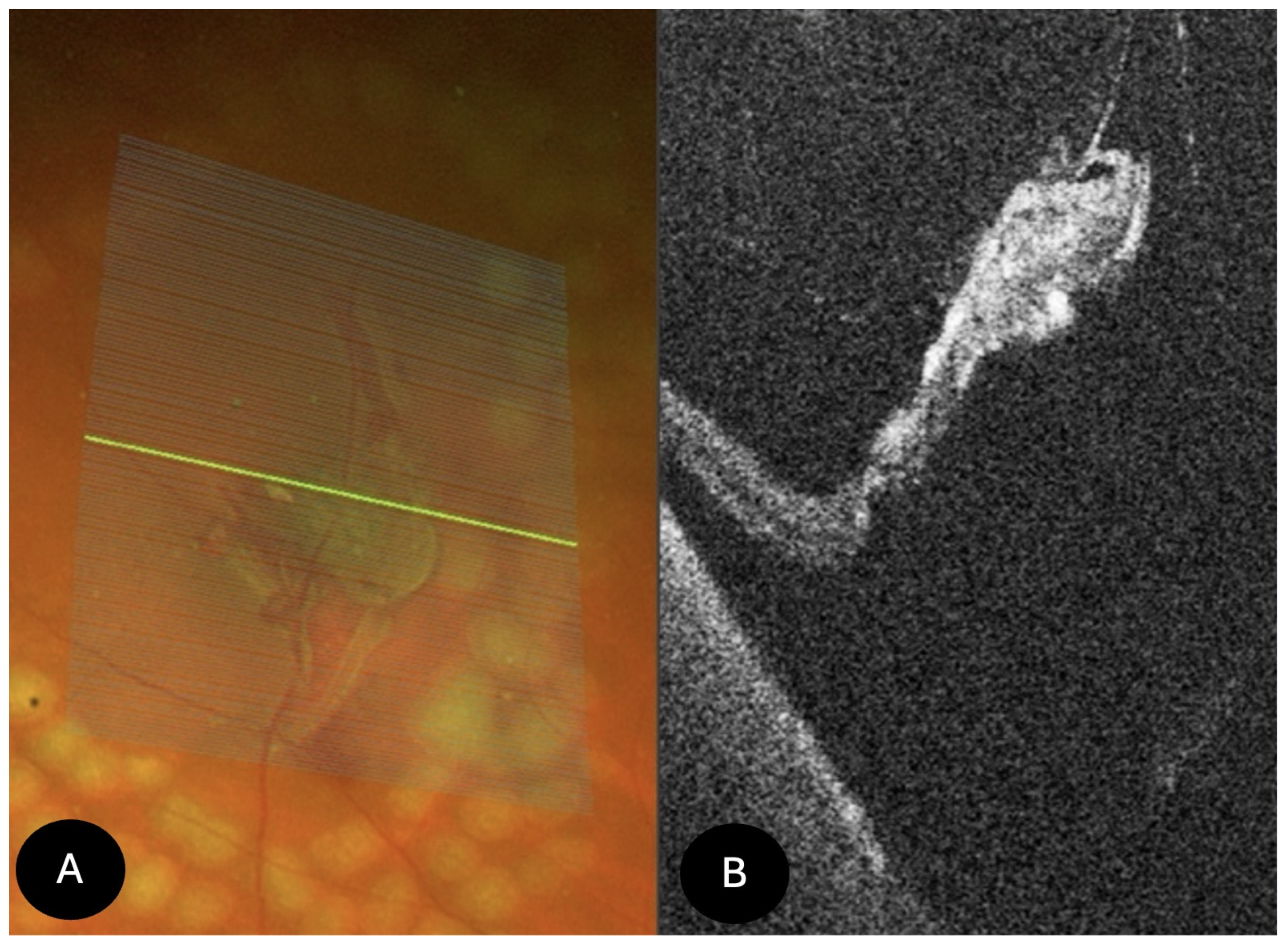 Diagnostics 15 02930 g008