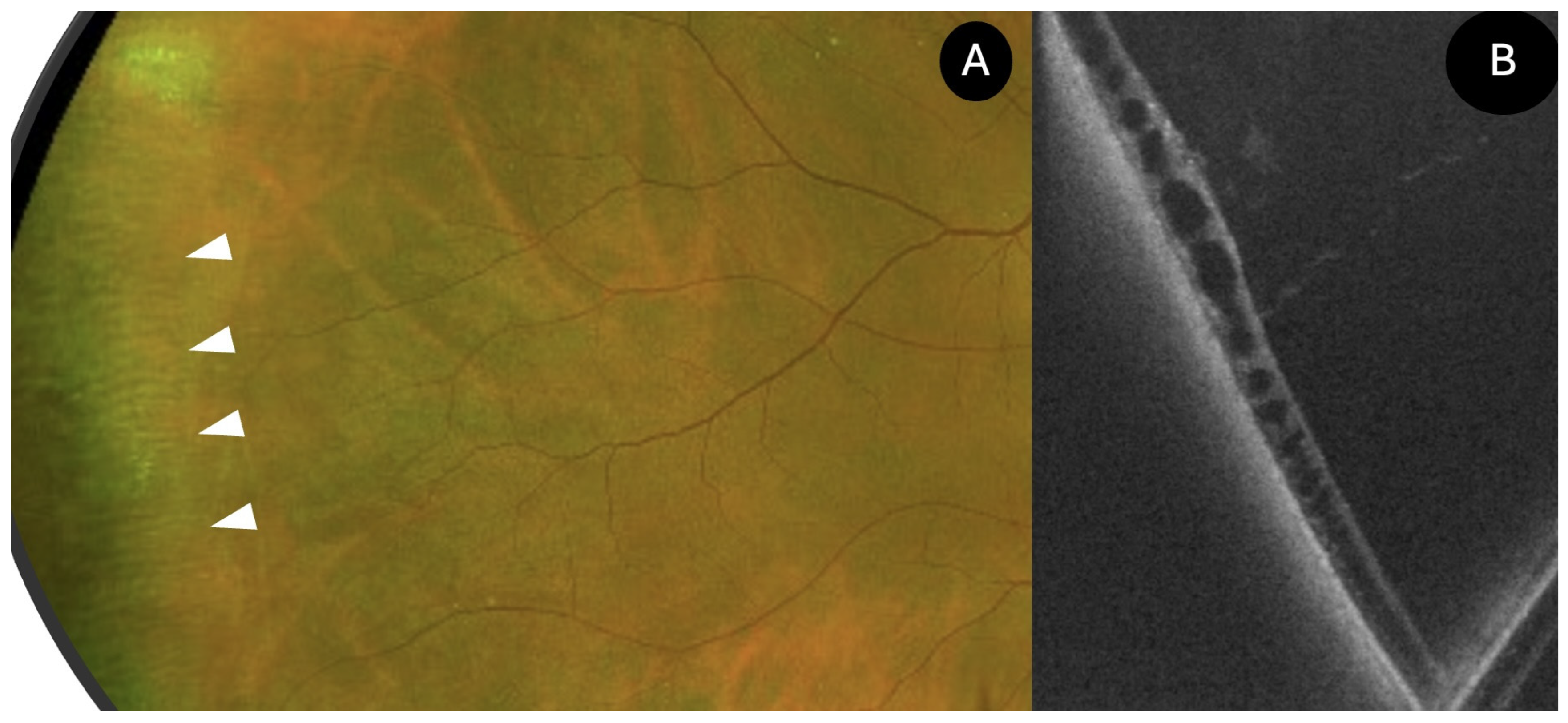 Diagnostics 15 02930 g009