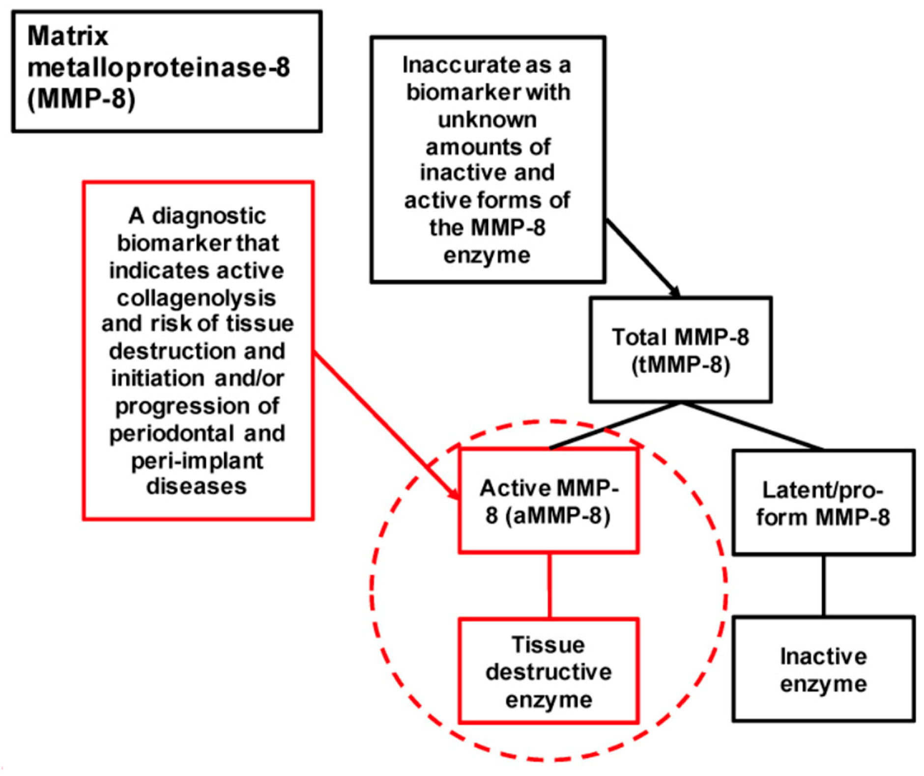 Diagnostics 15 02932 g001