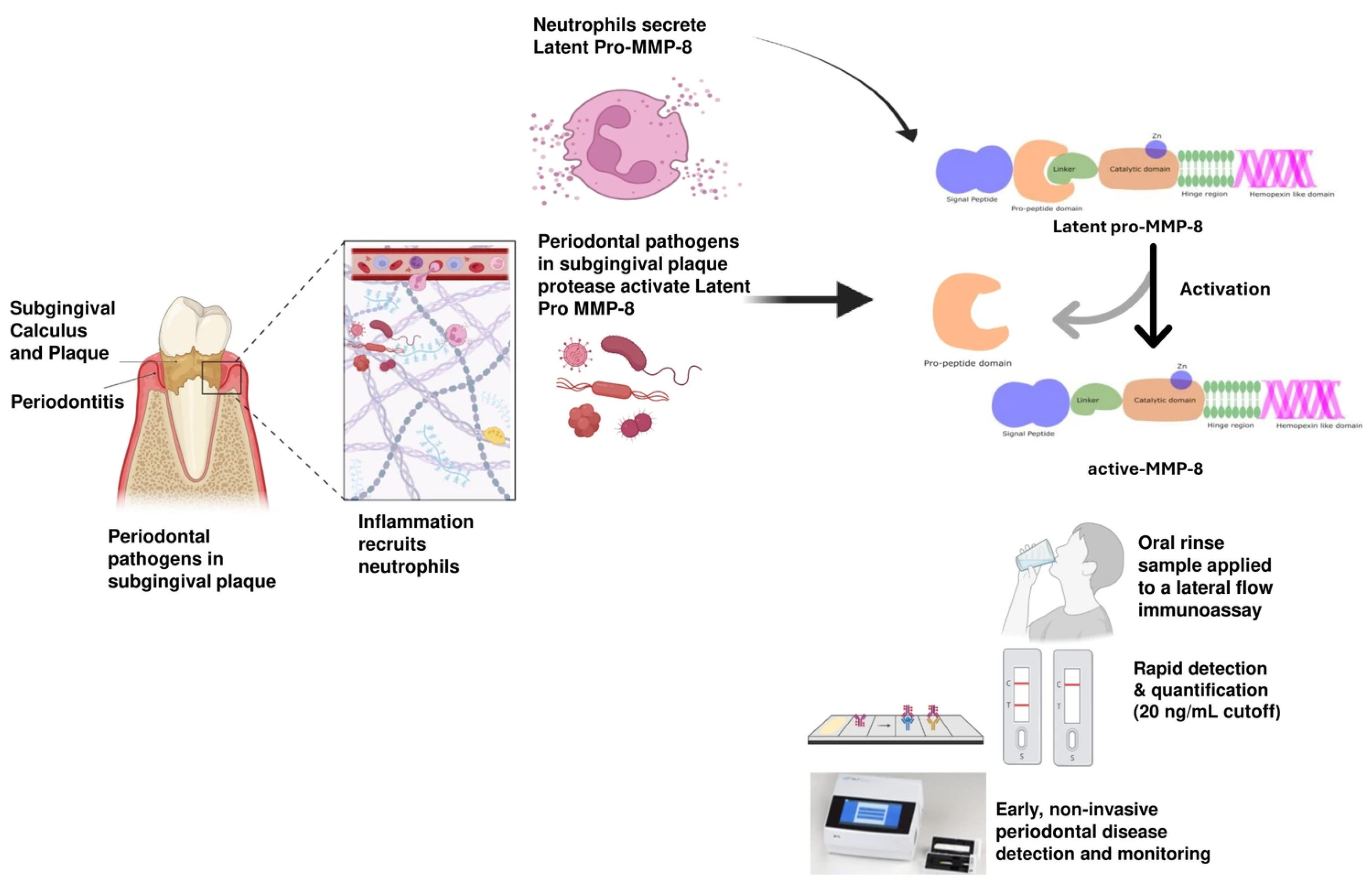 Diagnostics 15 02932 g002