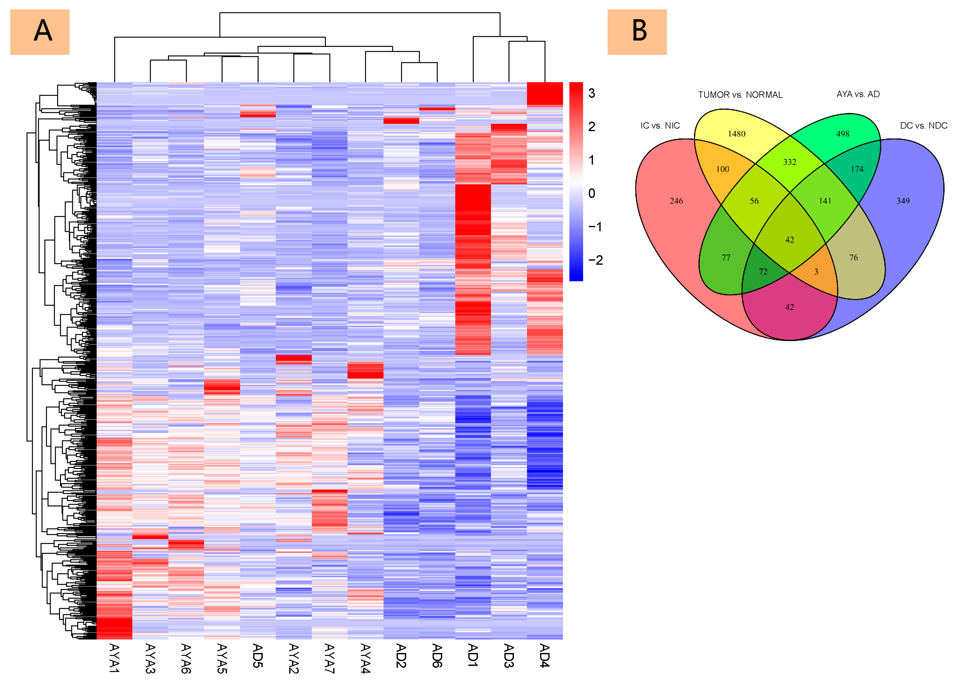 Diagnostics 15 02937 g001