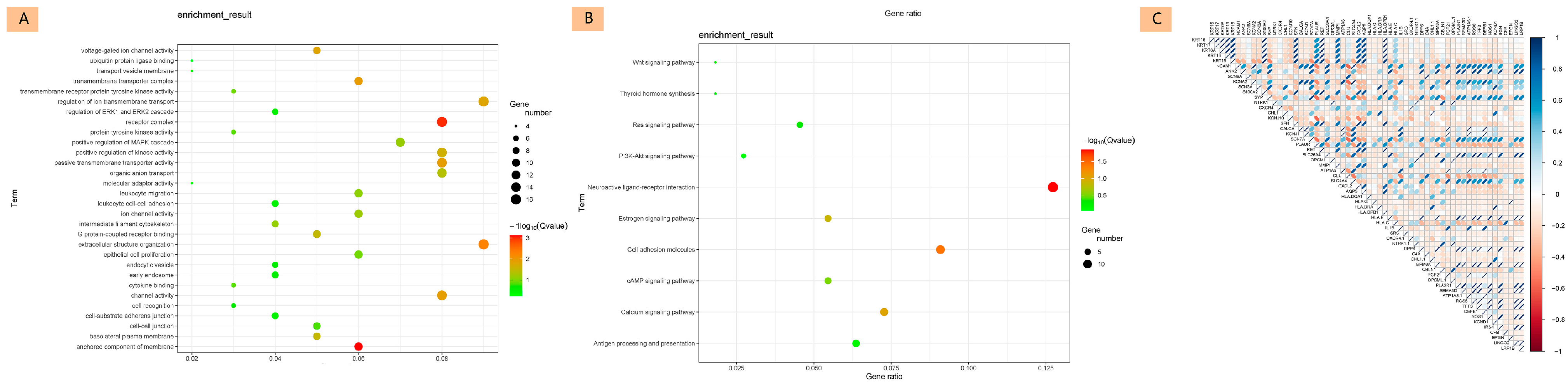 Diagnostics 15 02937 g002