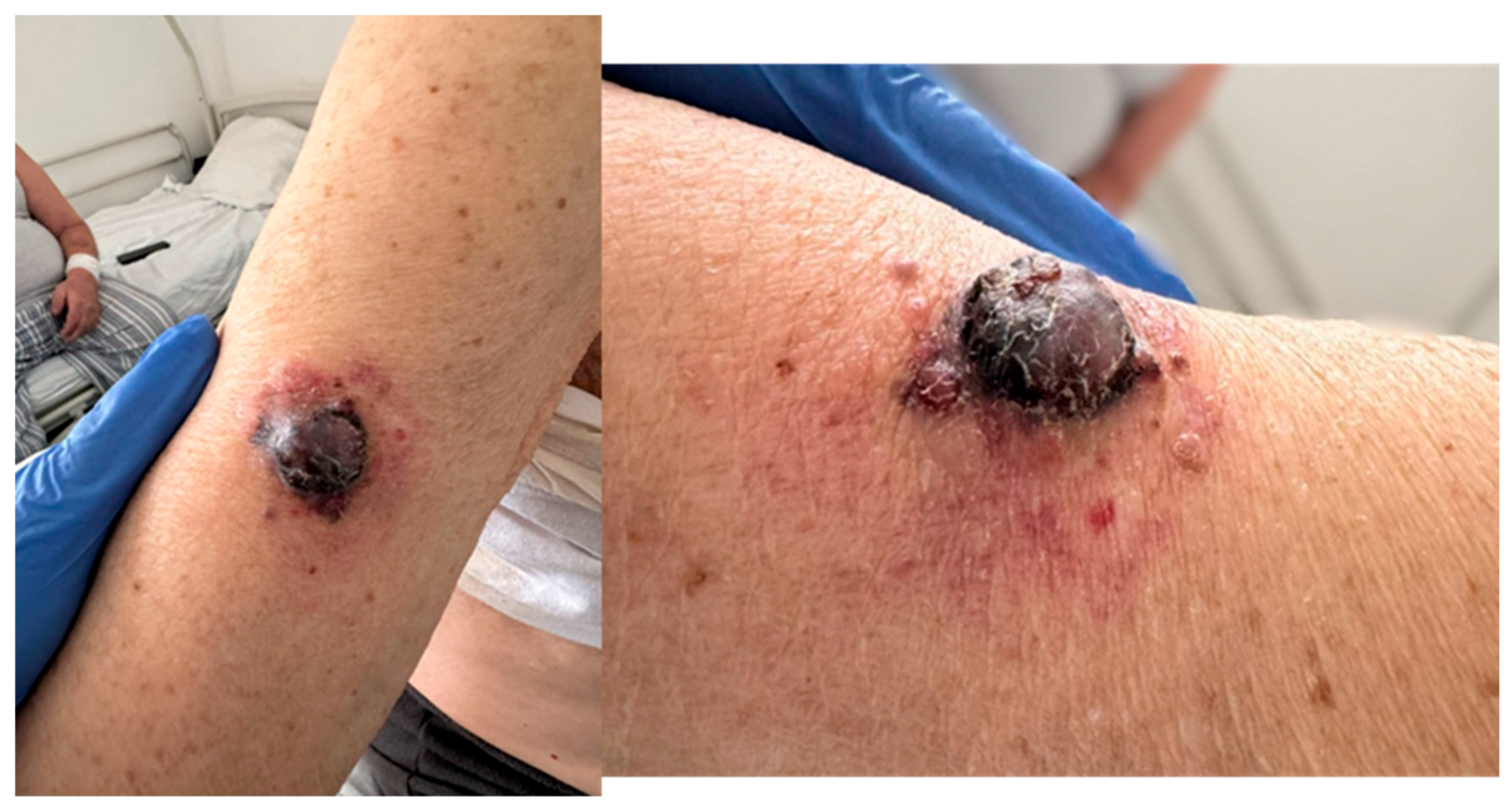 Diagnostics 15 02941 g001