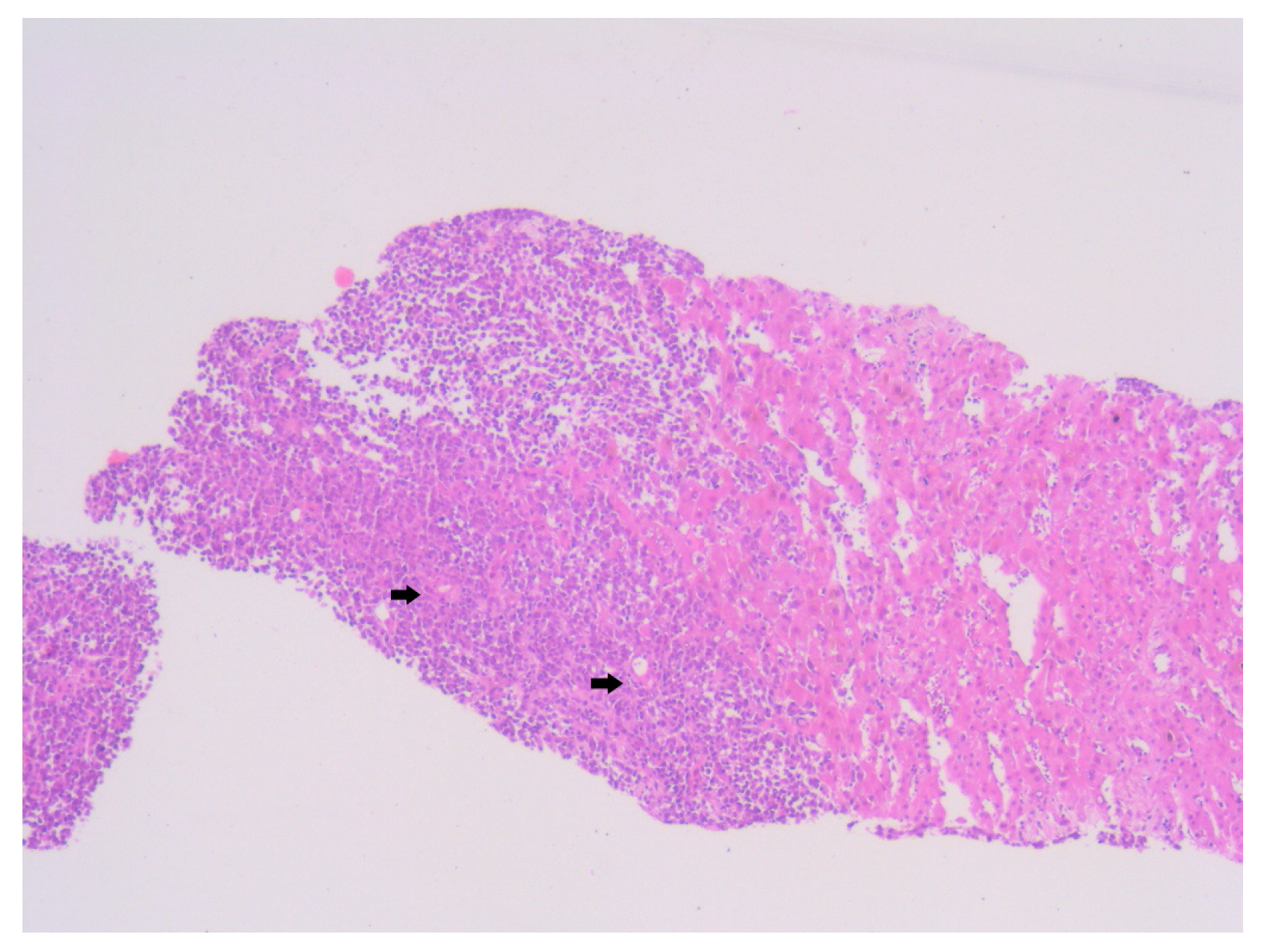 Diagnostics 15 02941 g004