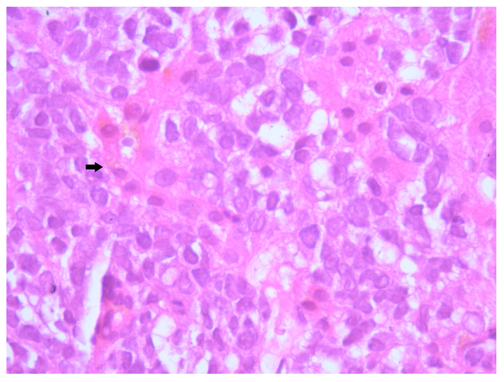 Diagnostics 15 02941 g006