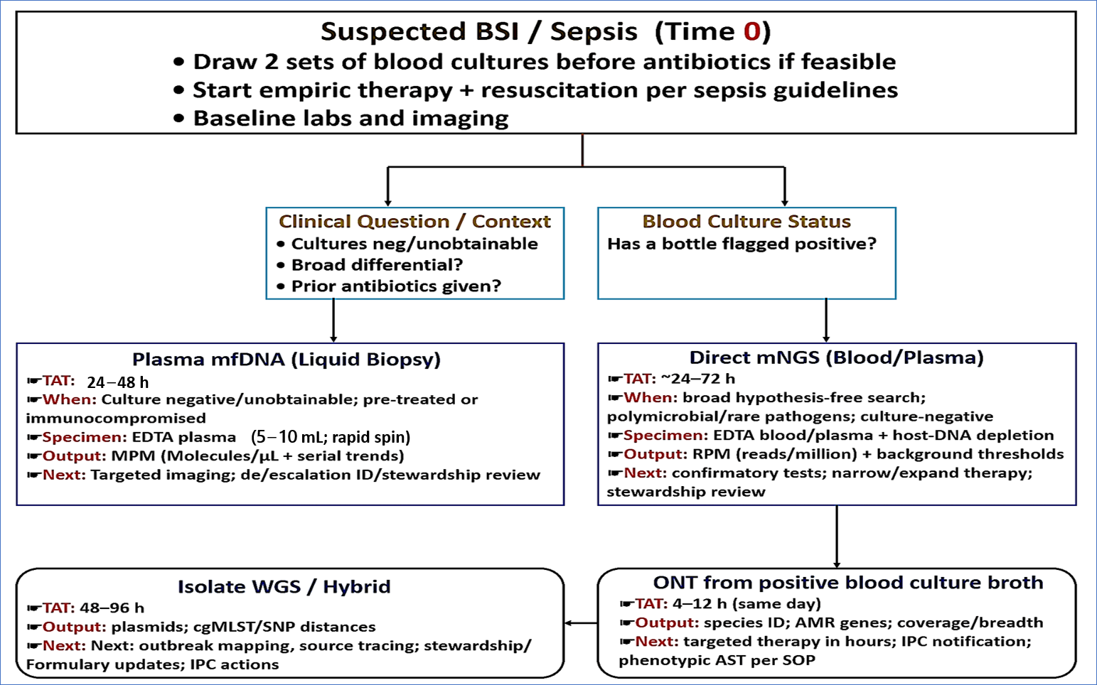 Diagnostics 15 02944 g002