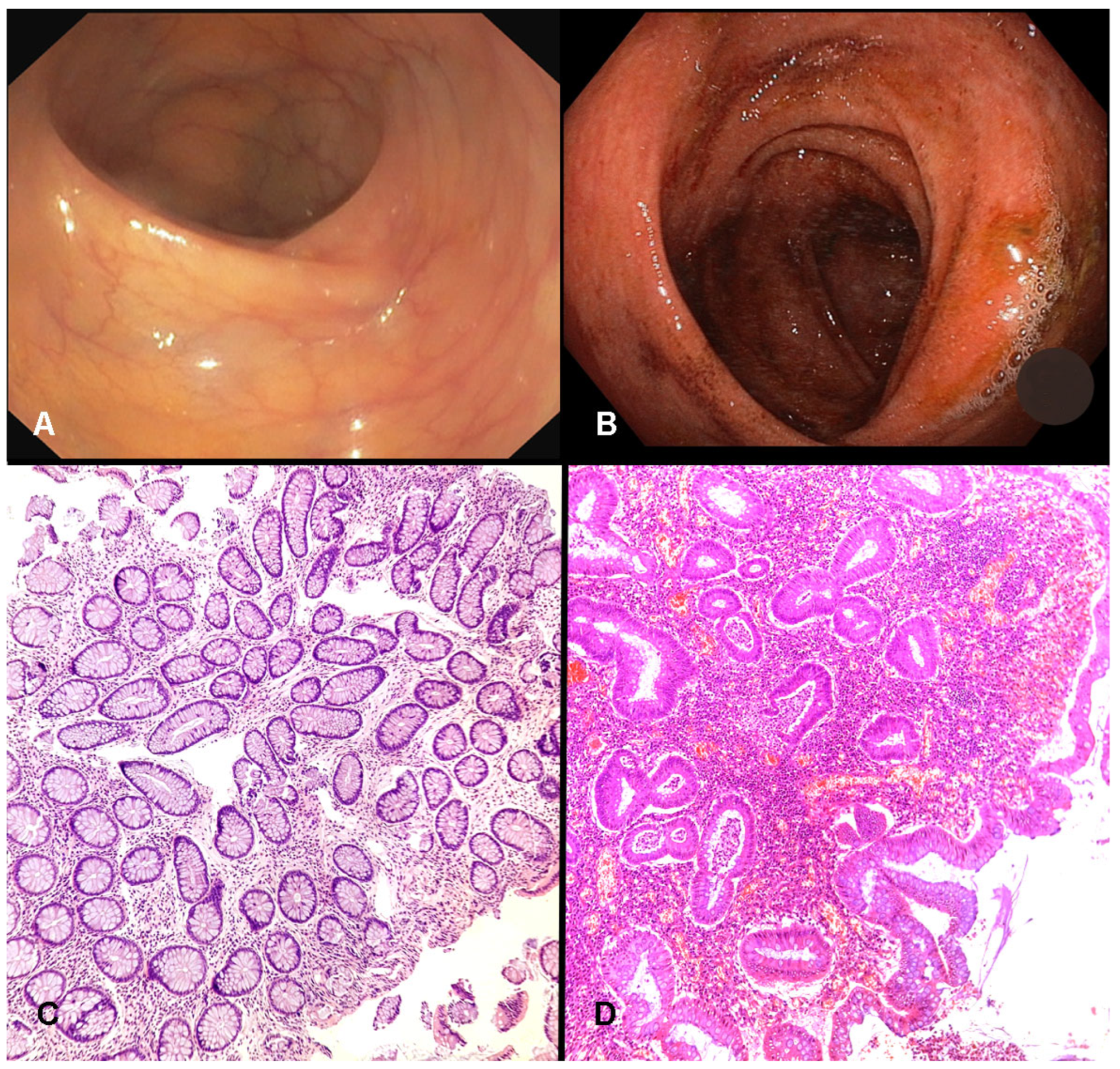 Diagnostics 15 02946 g001