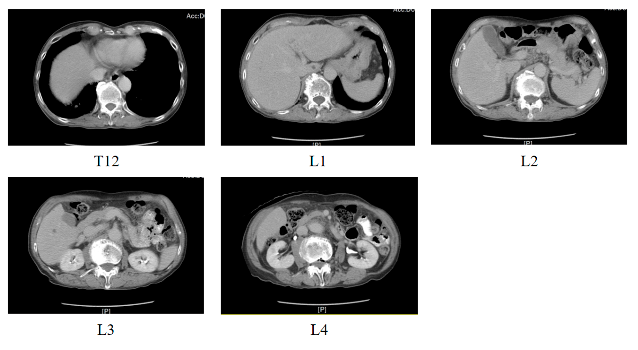 Diagnostics 15 02949 g005