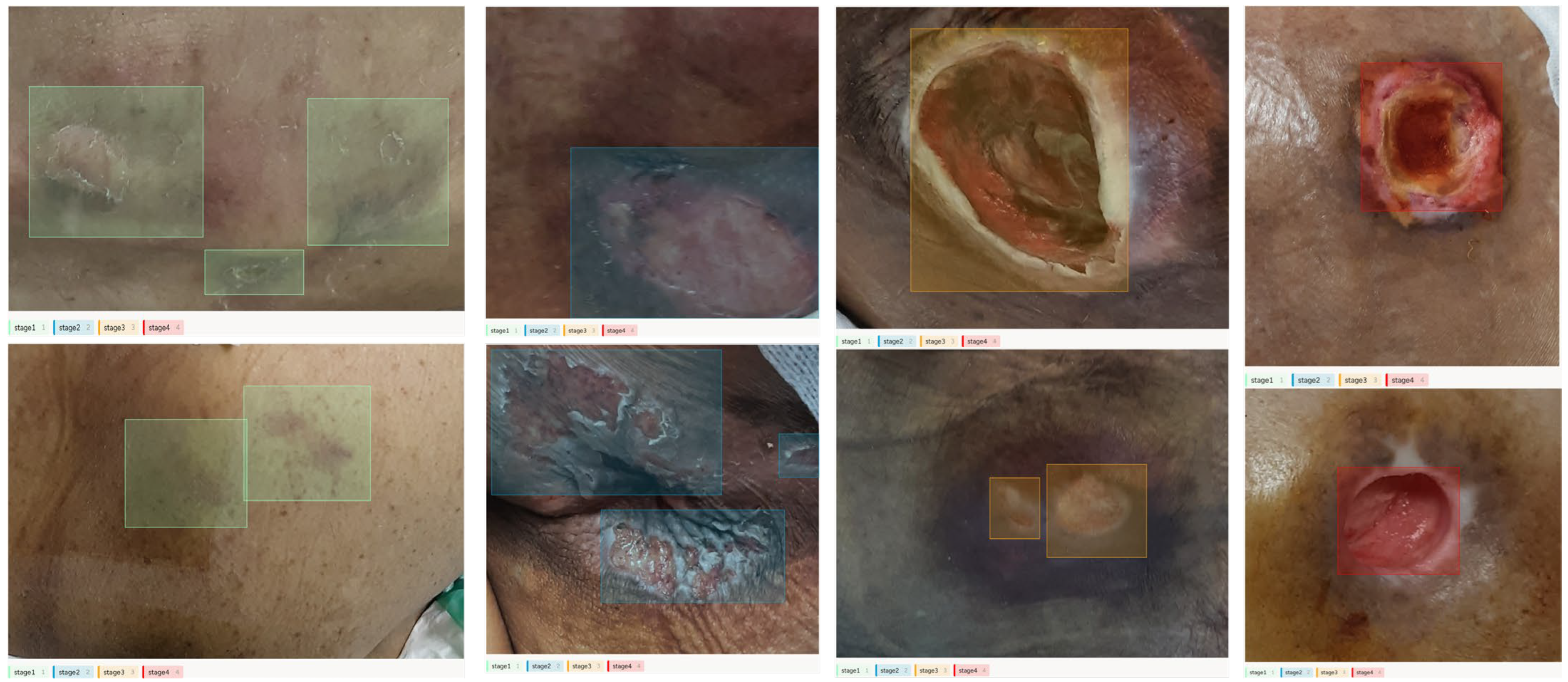 Diagnostics 15 02951 g001