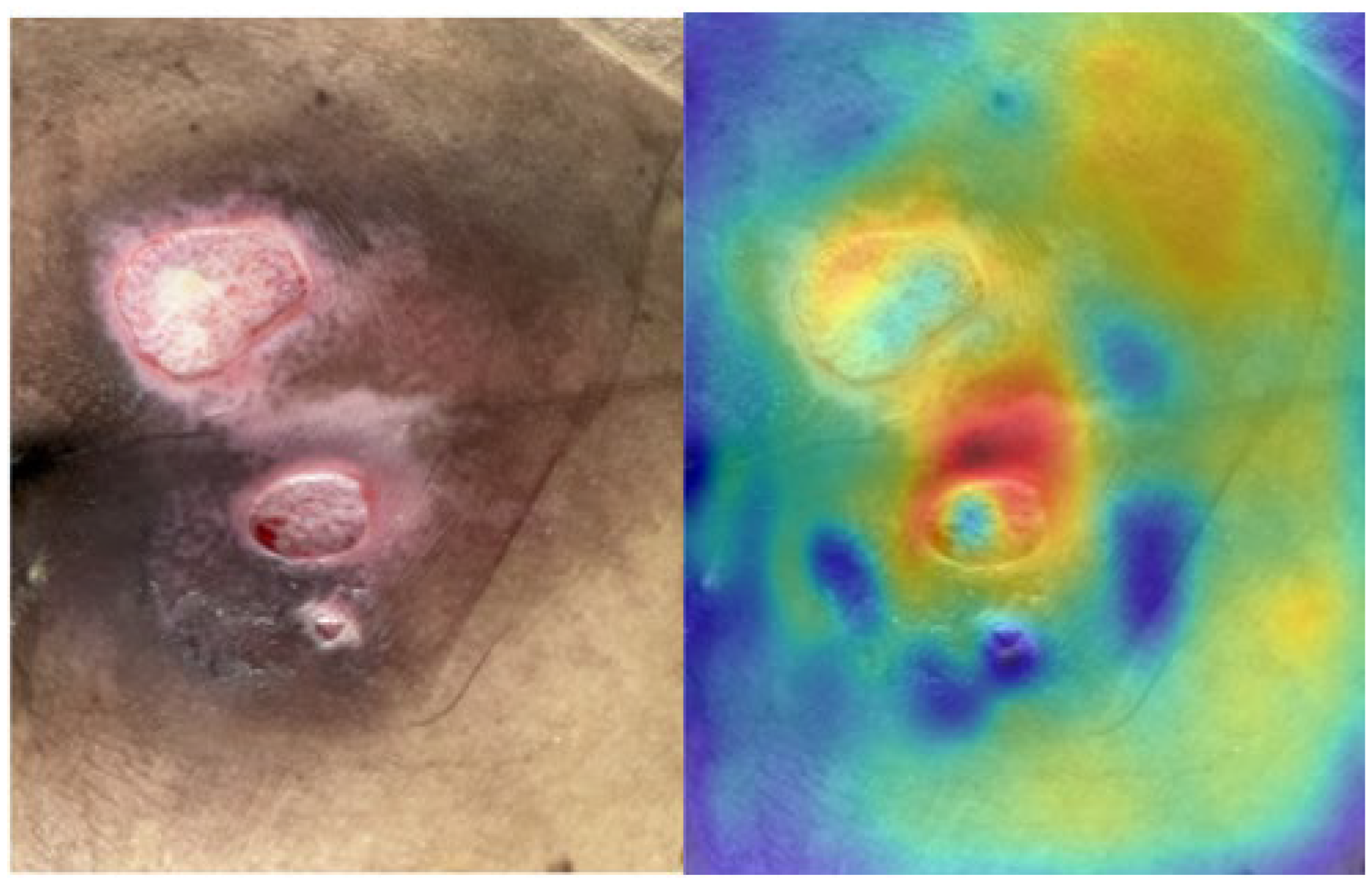 Diagnostics 15 02951 g003