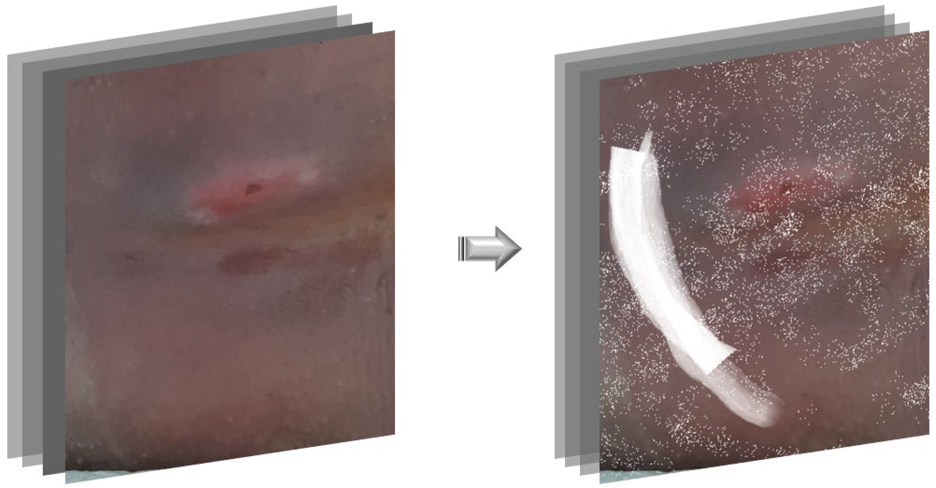 Diagnostics 15 02951 g004