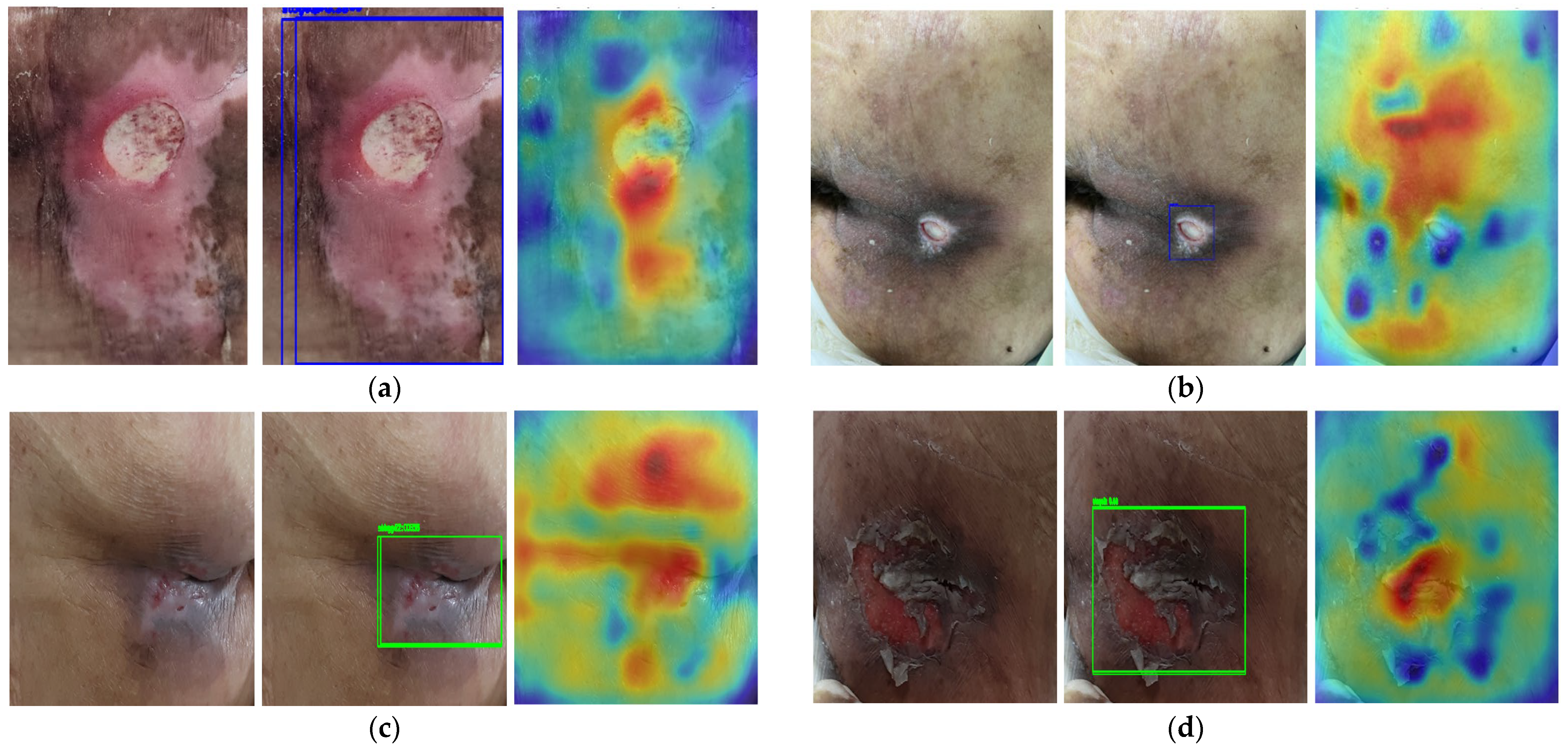 Diagnostics 15 02951 g010