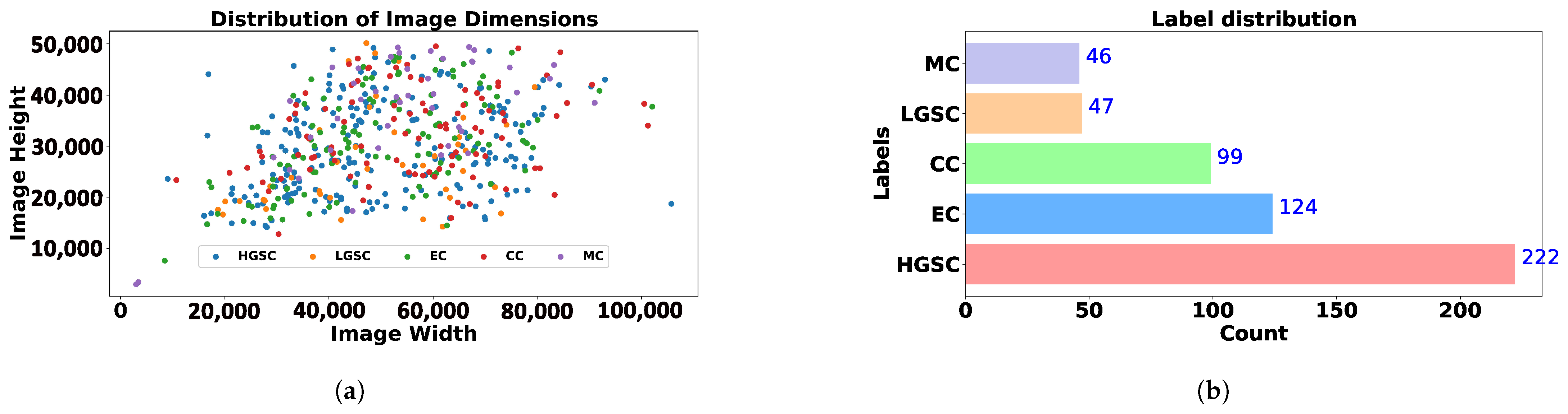 Diagnostics 15 02954 g002