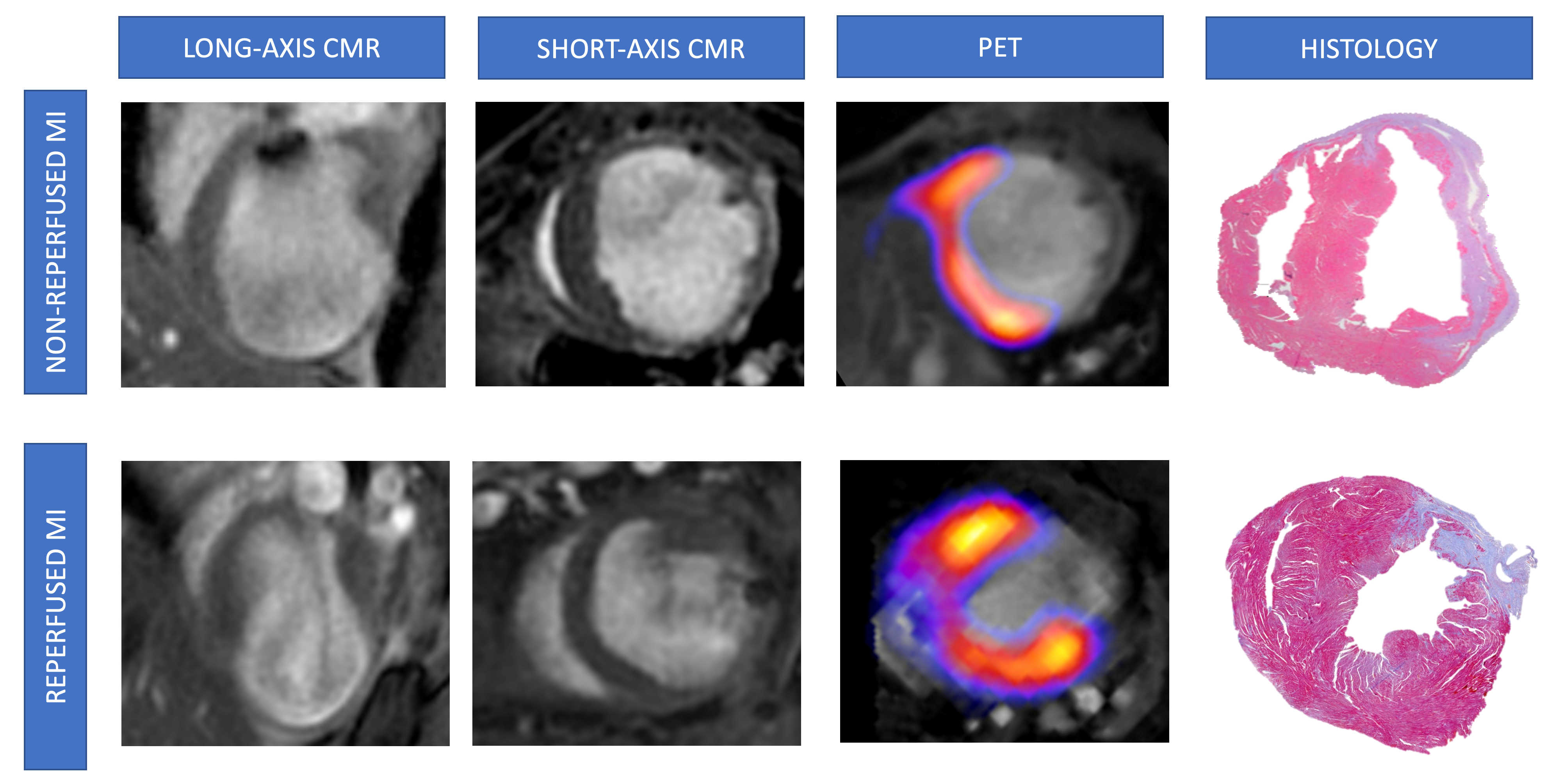 Diagnostics 15 02960 g004